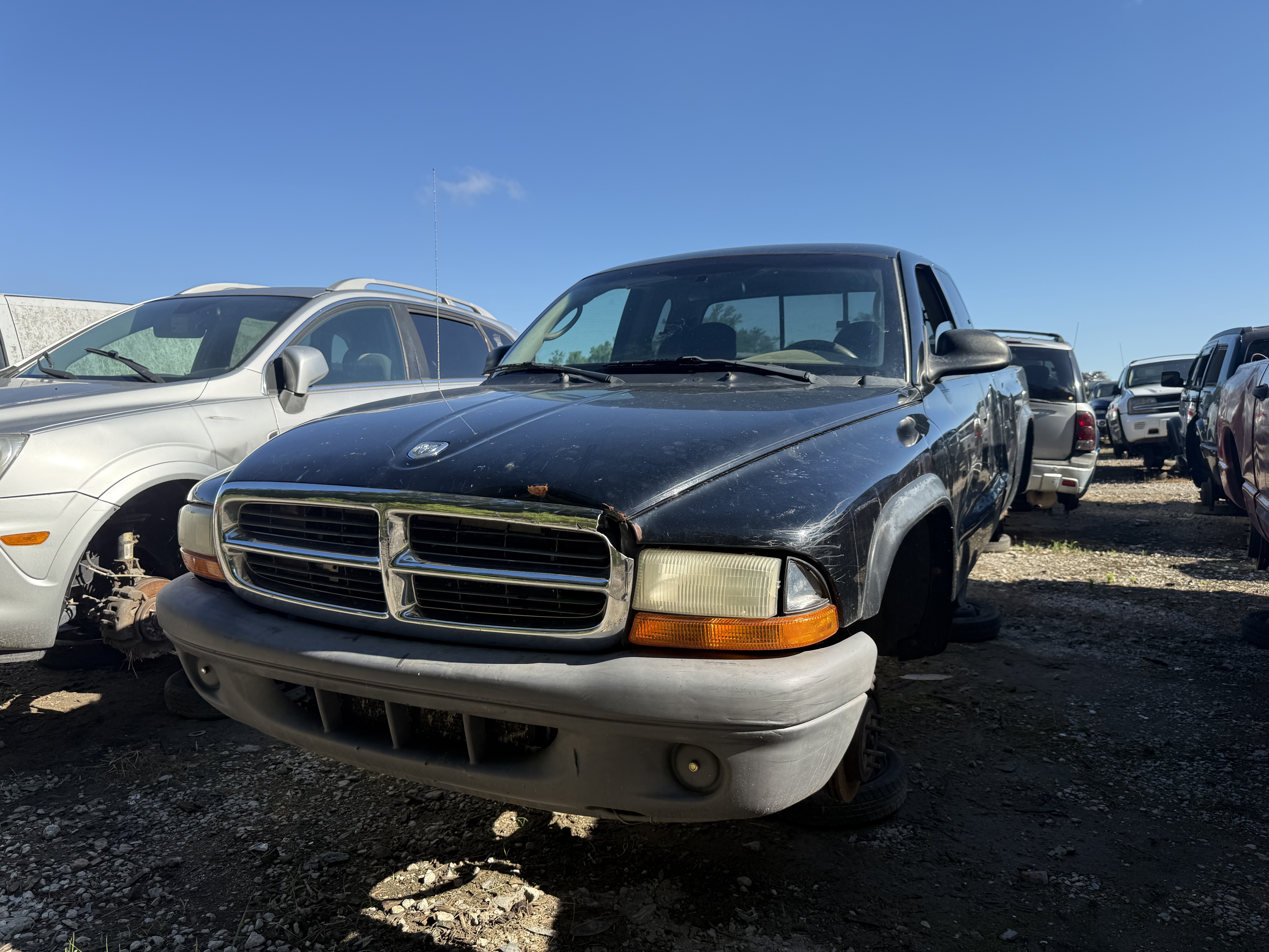 2004 DODGE Dakota