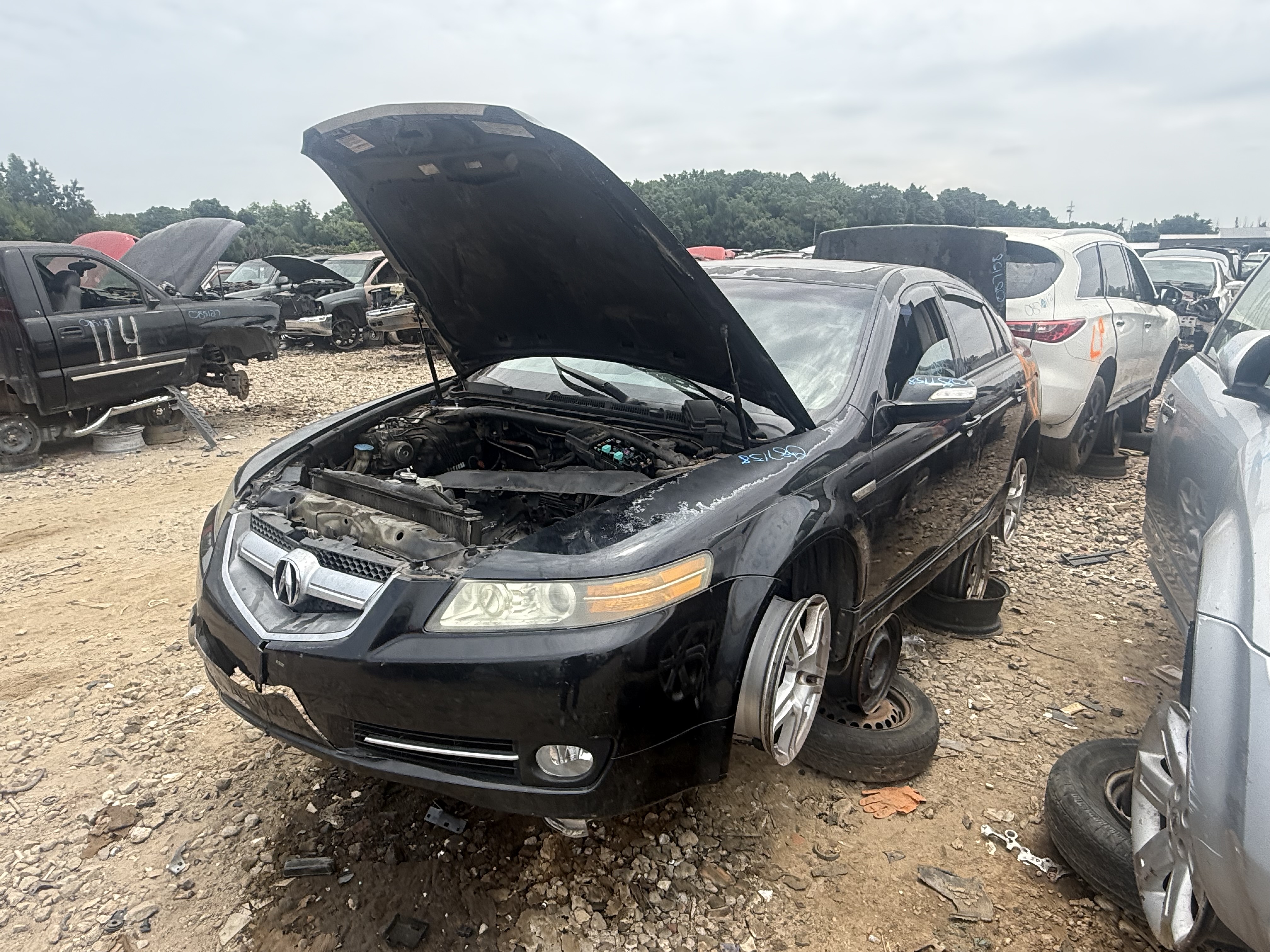 2007 ACURA Tl