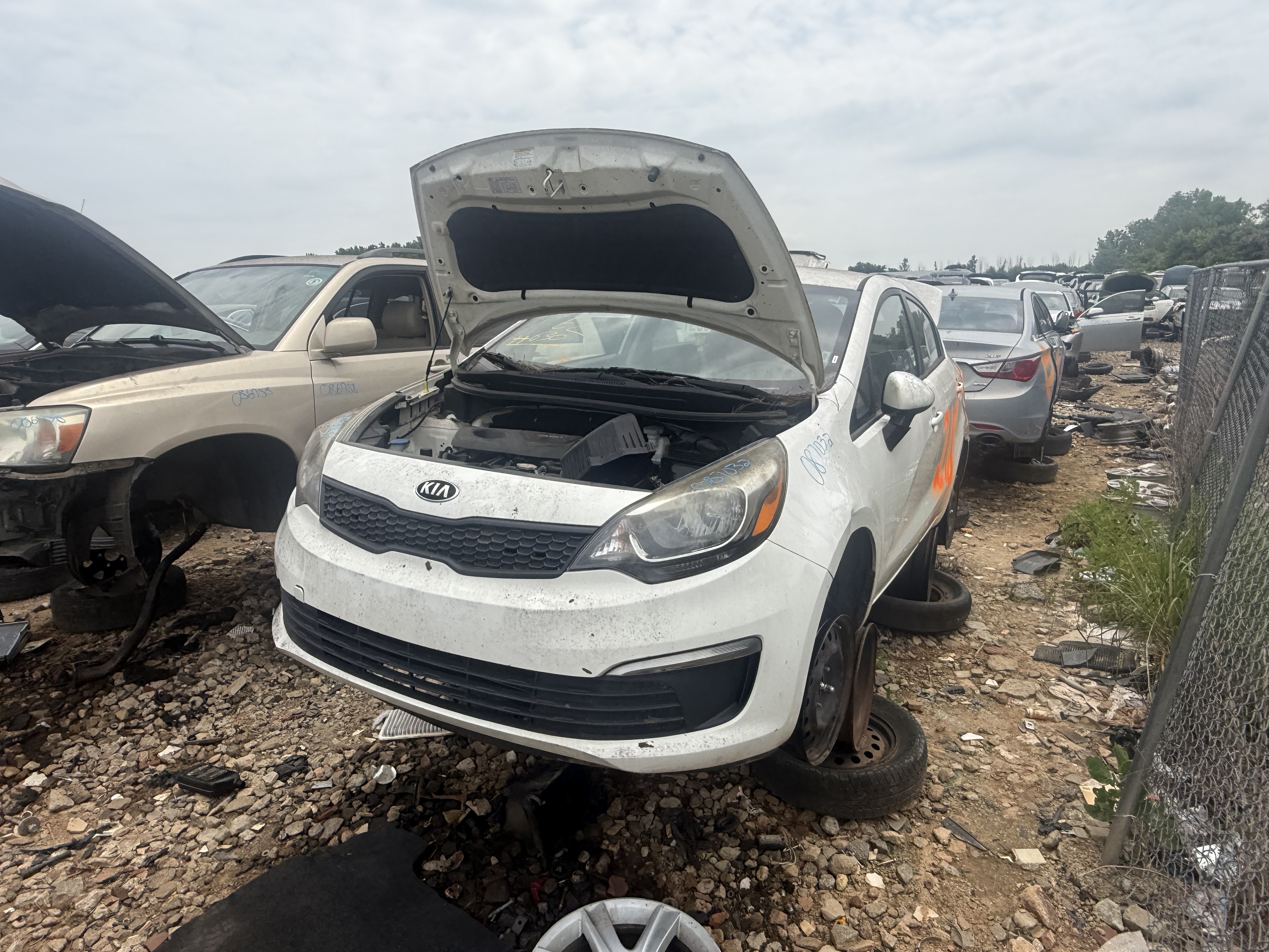 2016 KIA Rio