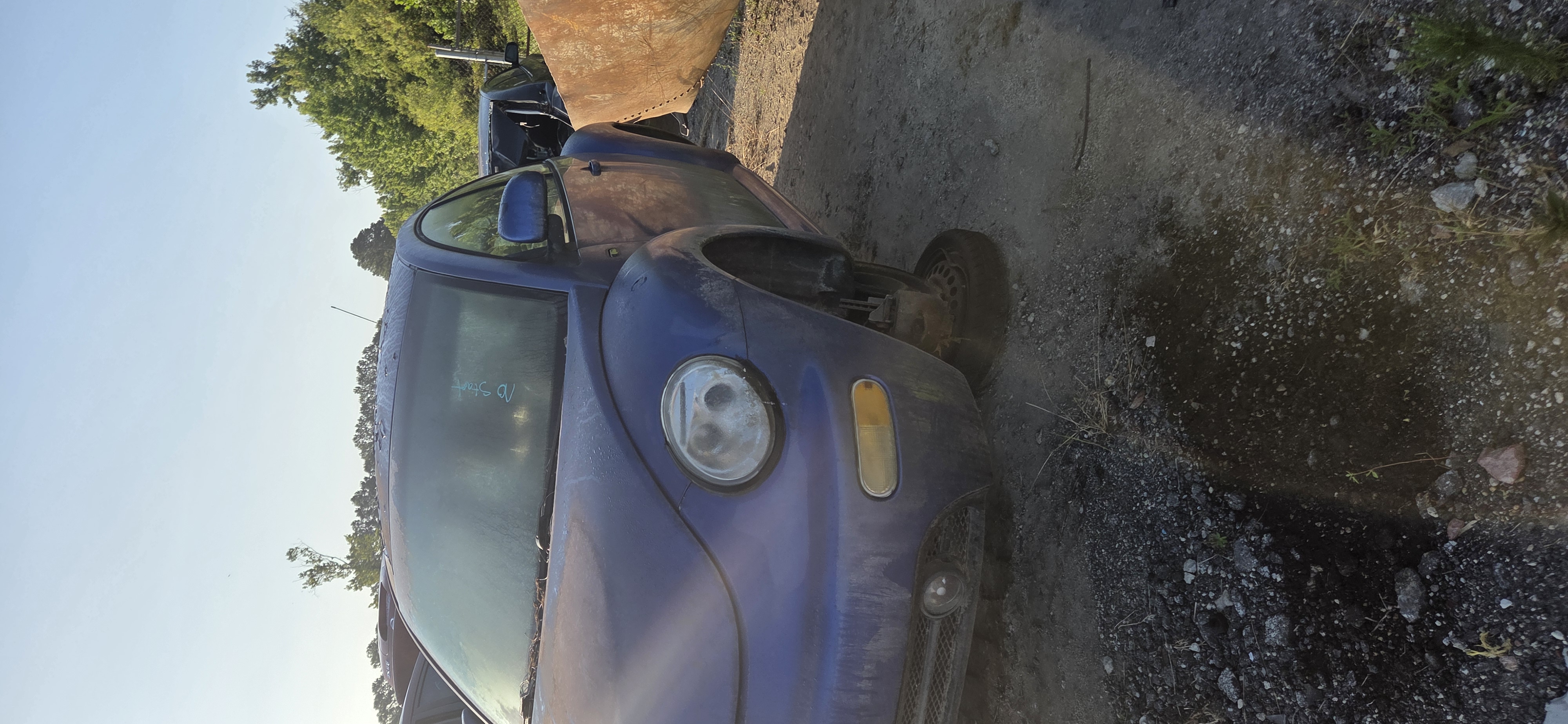 2000 VOLKSWAGEN Beetle