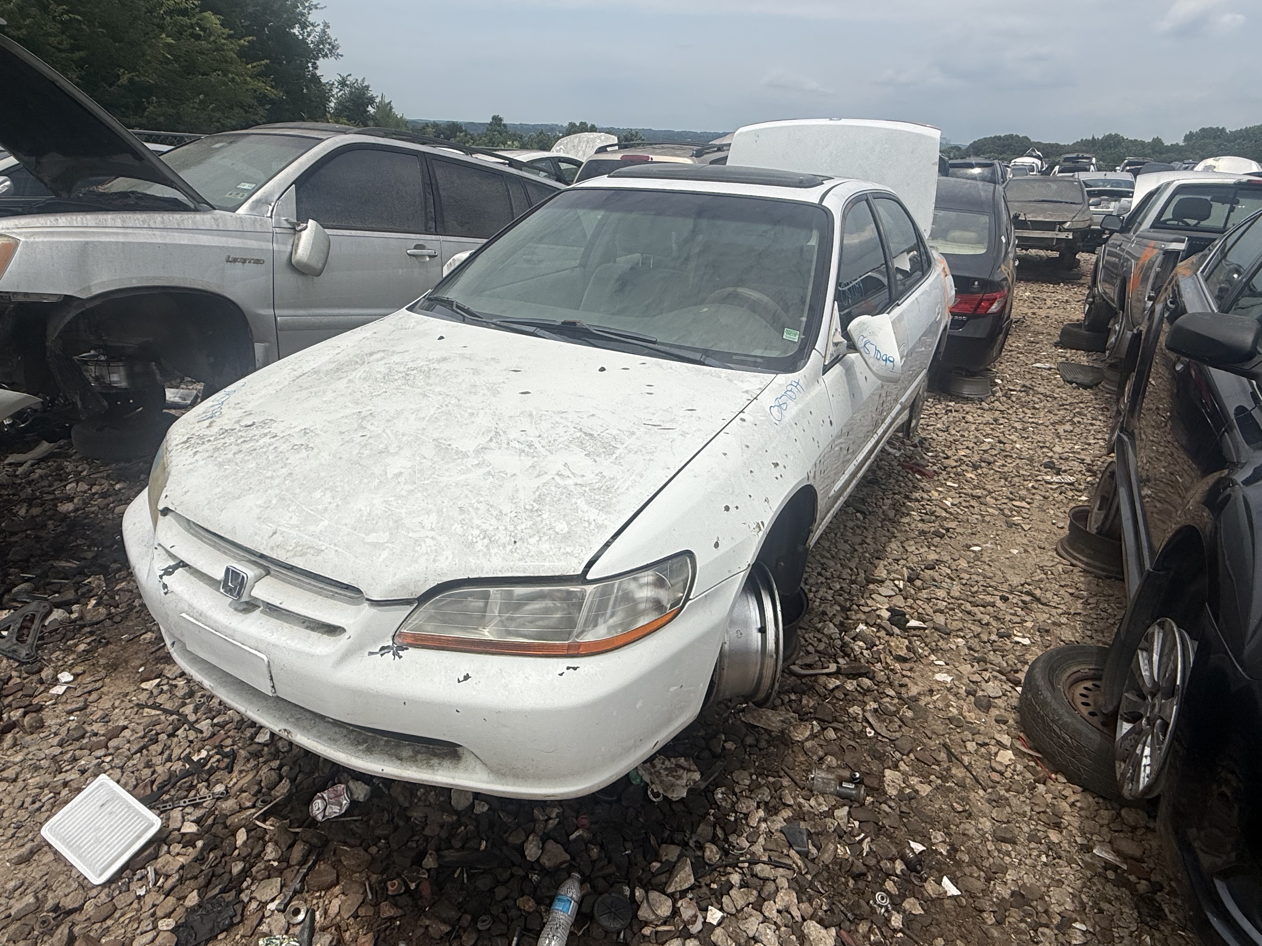 1999 HONDA Accord