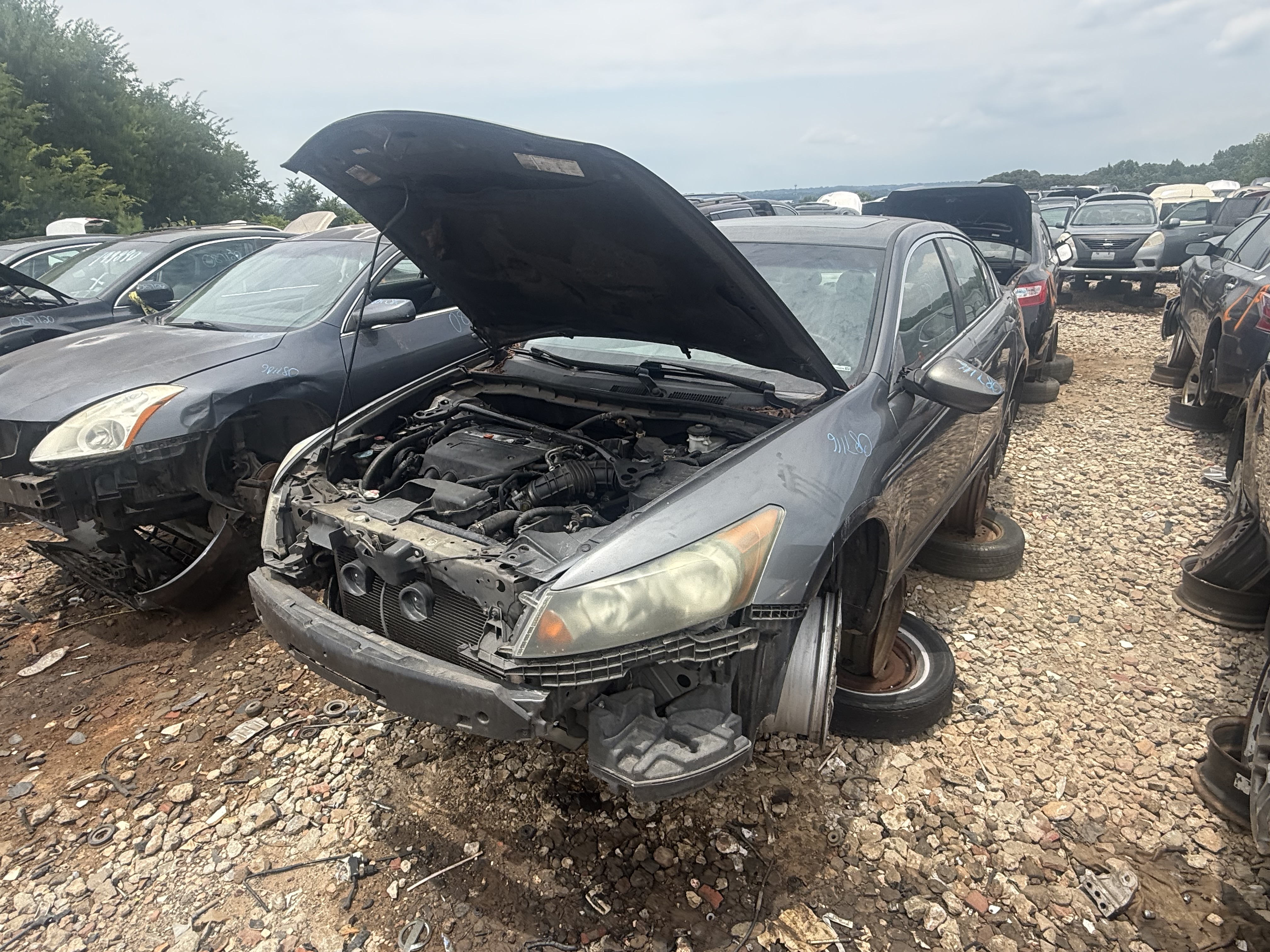 2008 HONDA Accord