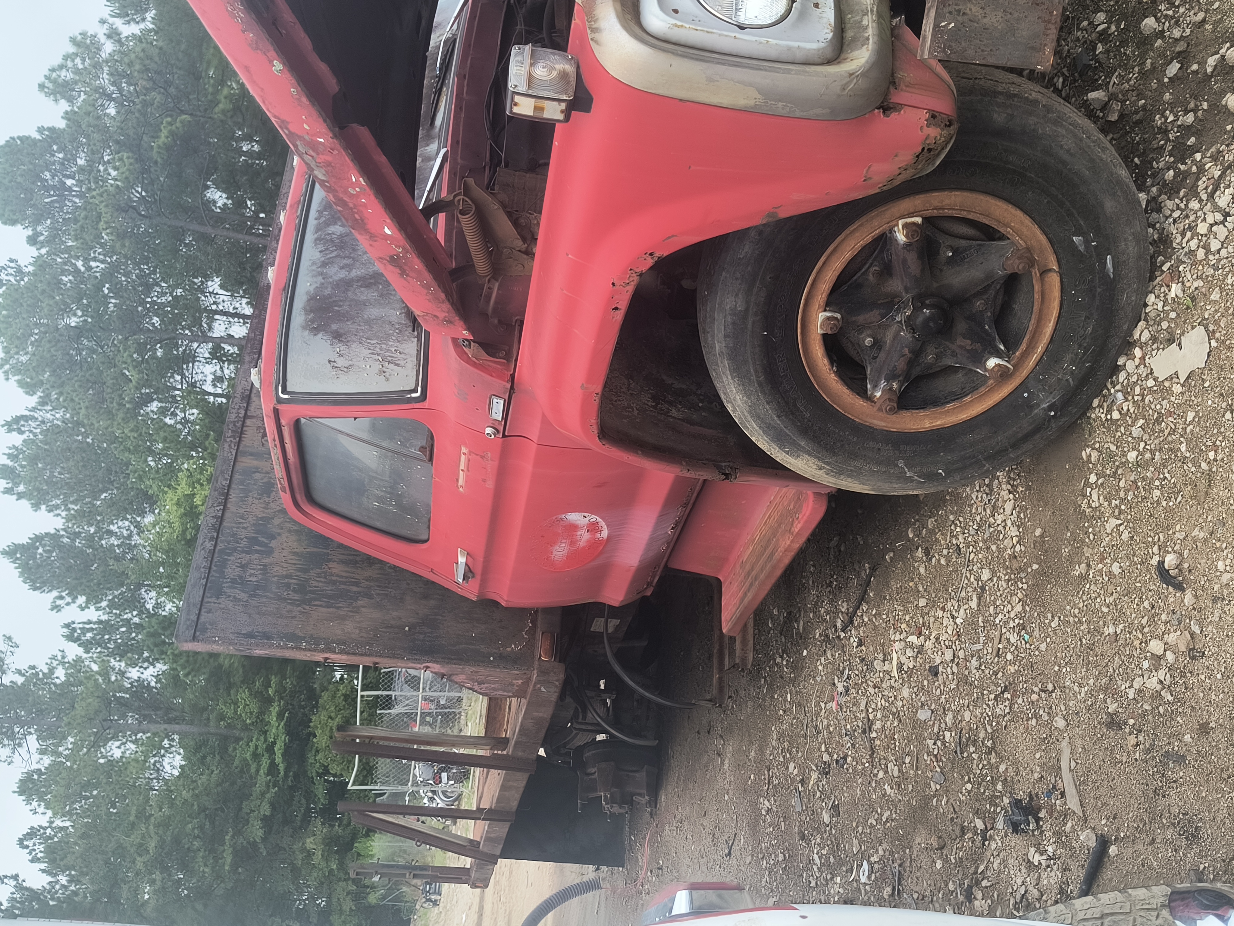 1979 FORD Other