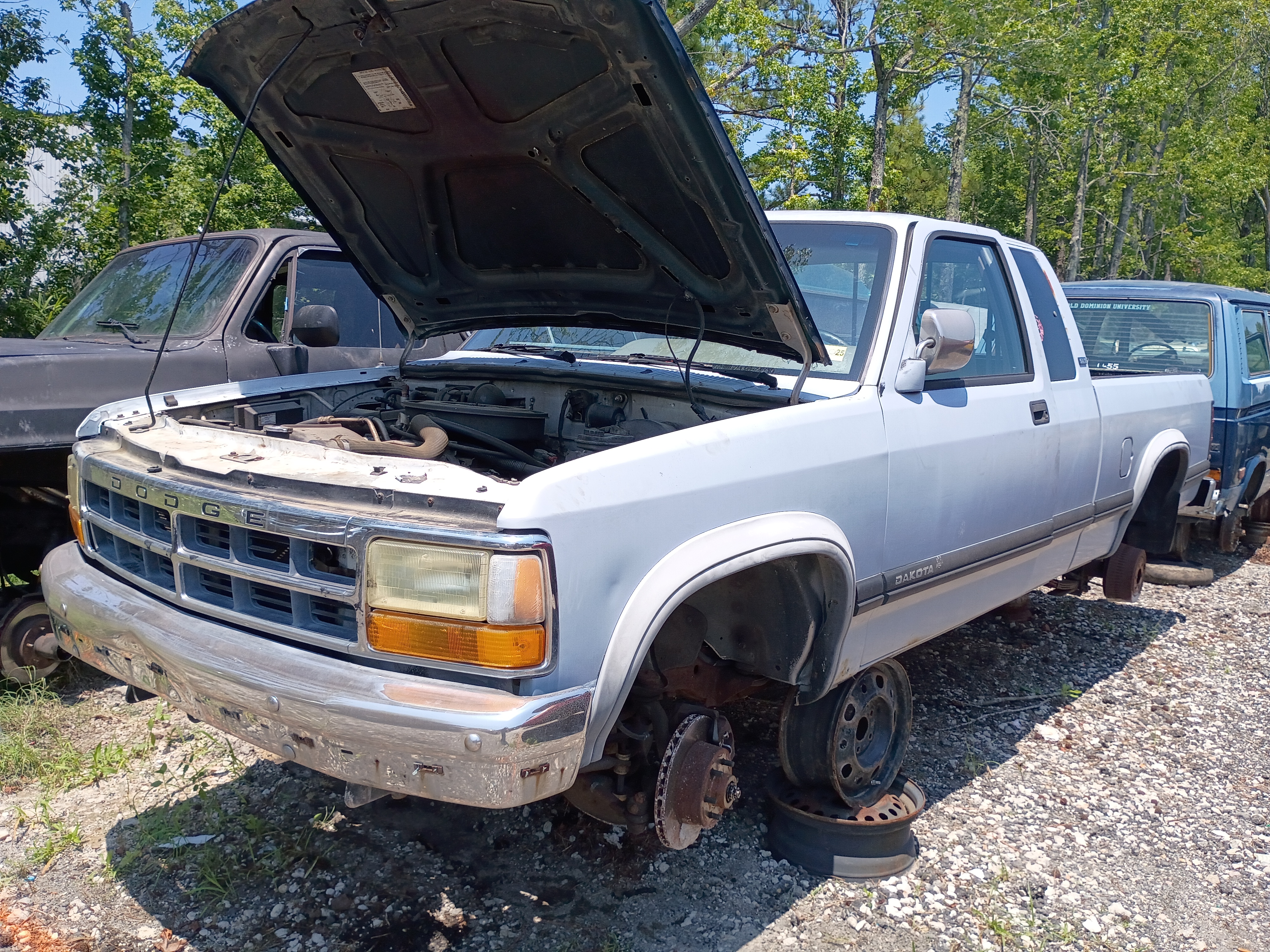 1996 DODGE Dakota