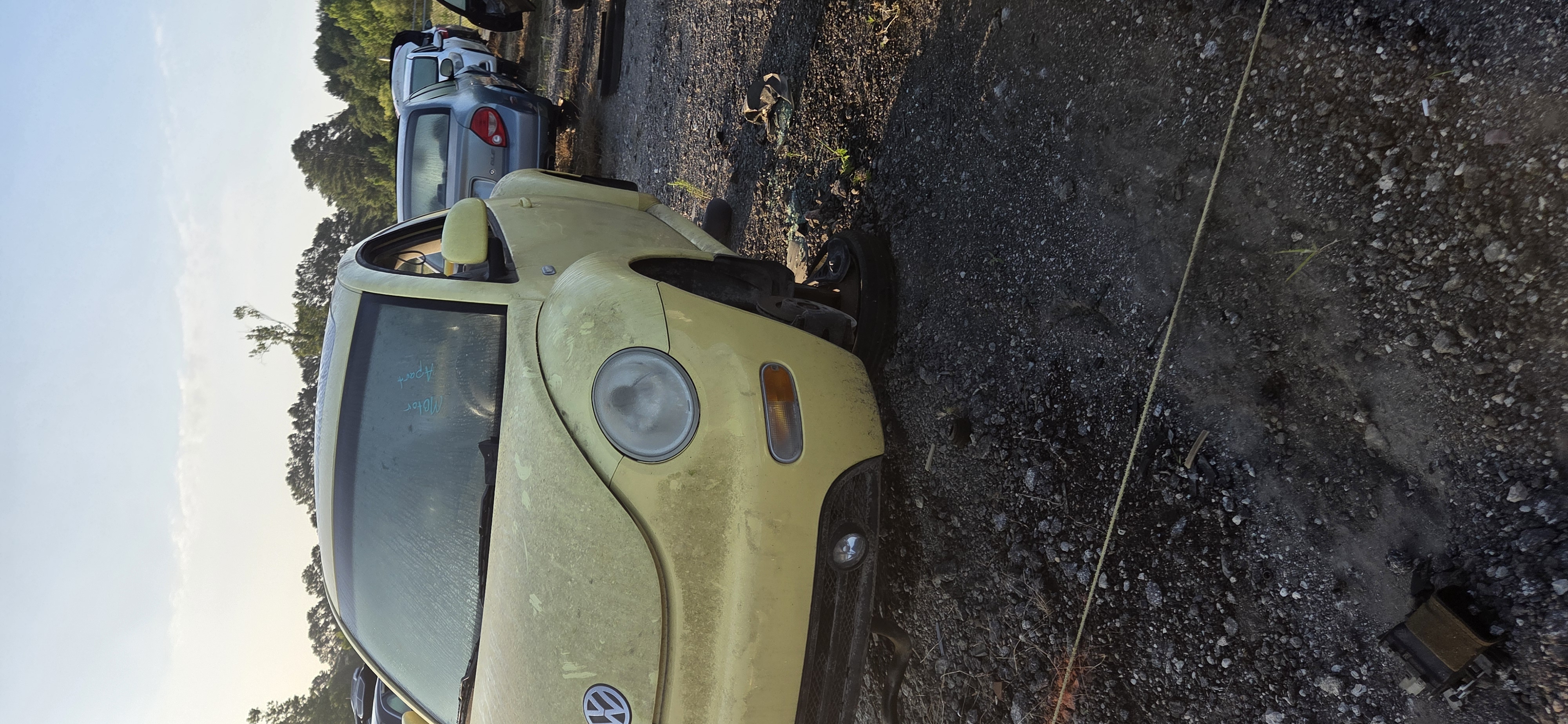 2000 VOLKSWAGEN Beetle