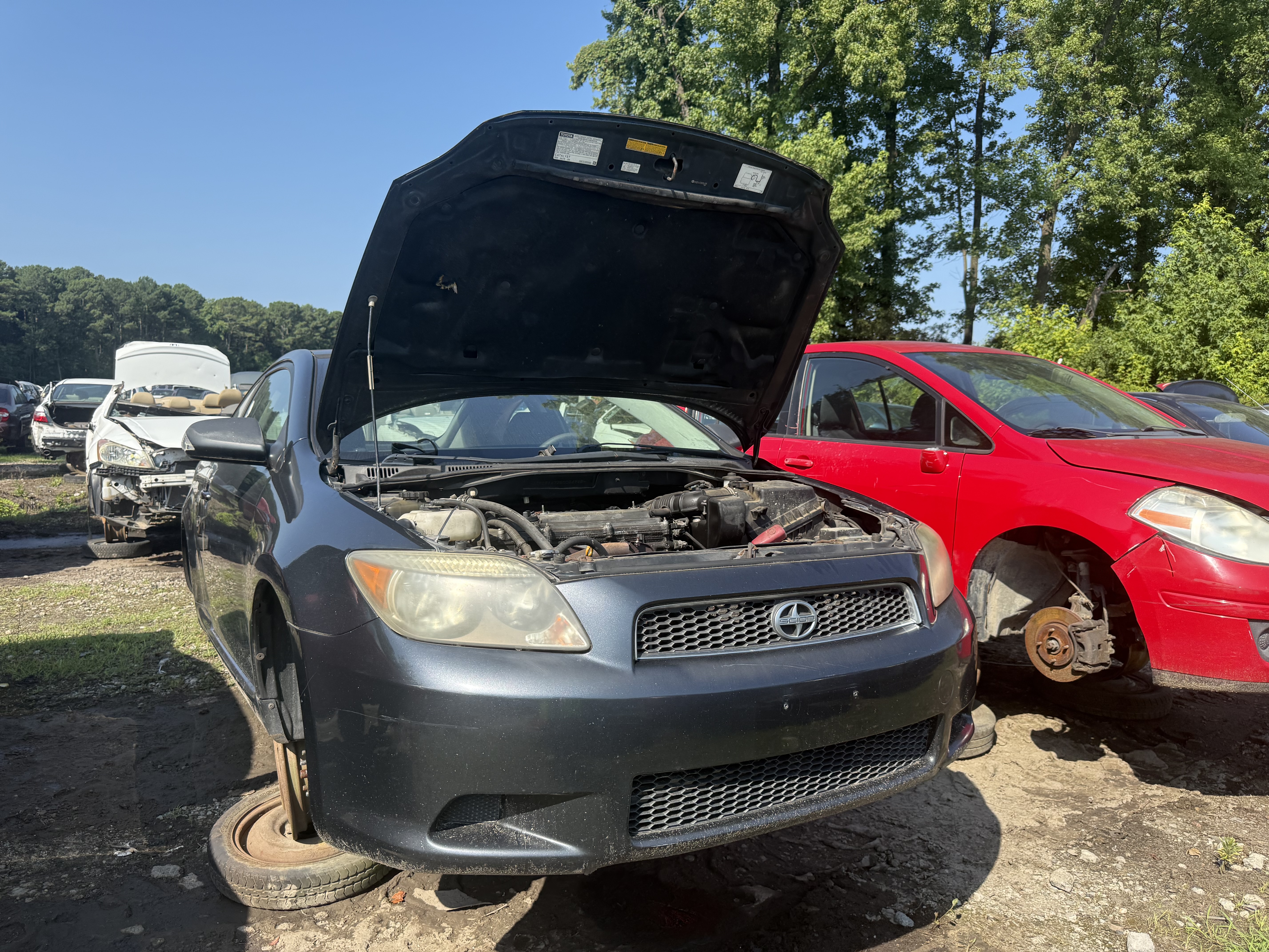 2005 TOYOTA Scion tC