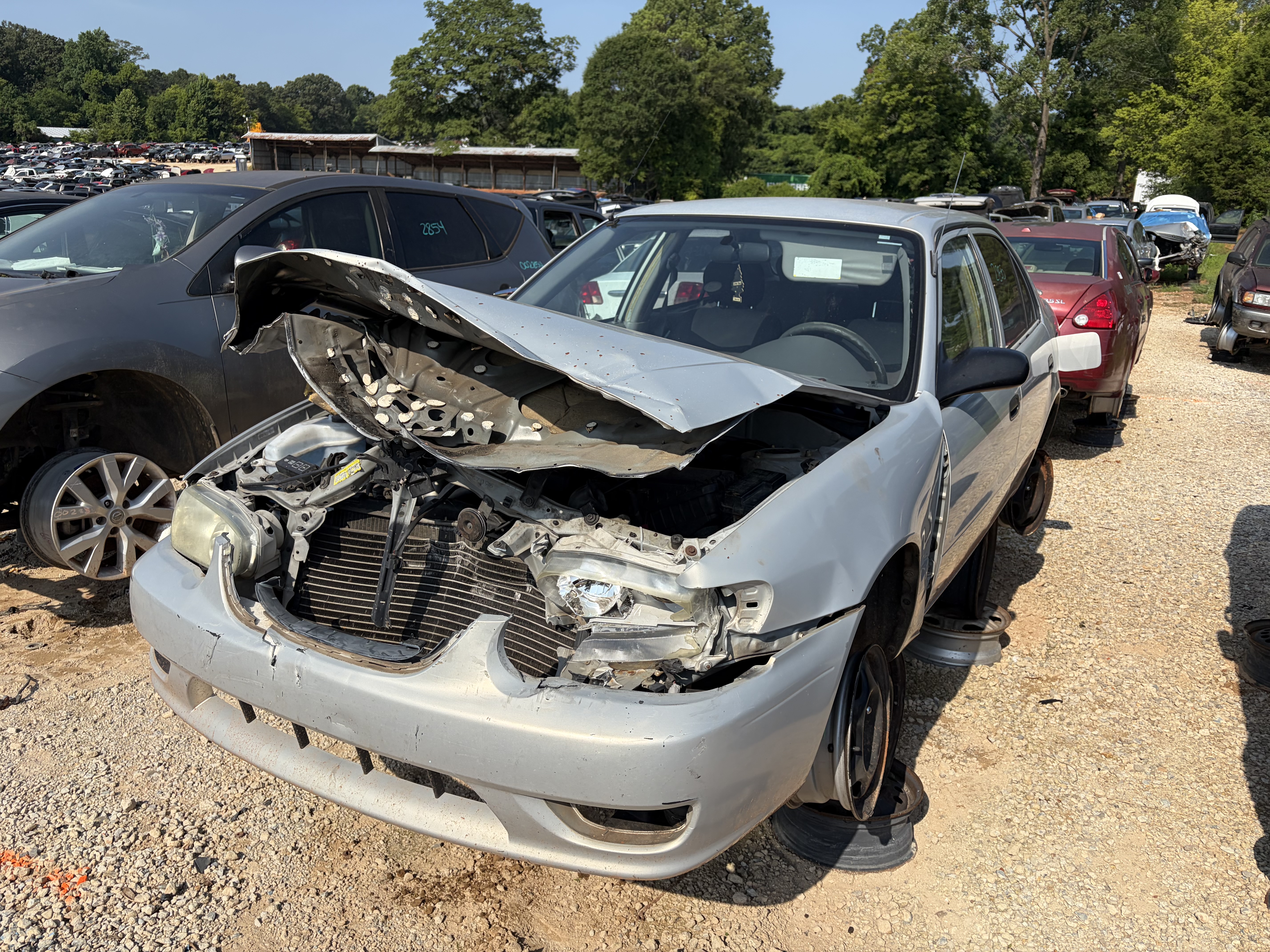 2001 TOYOTA Corolla