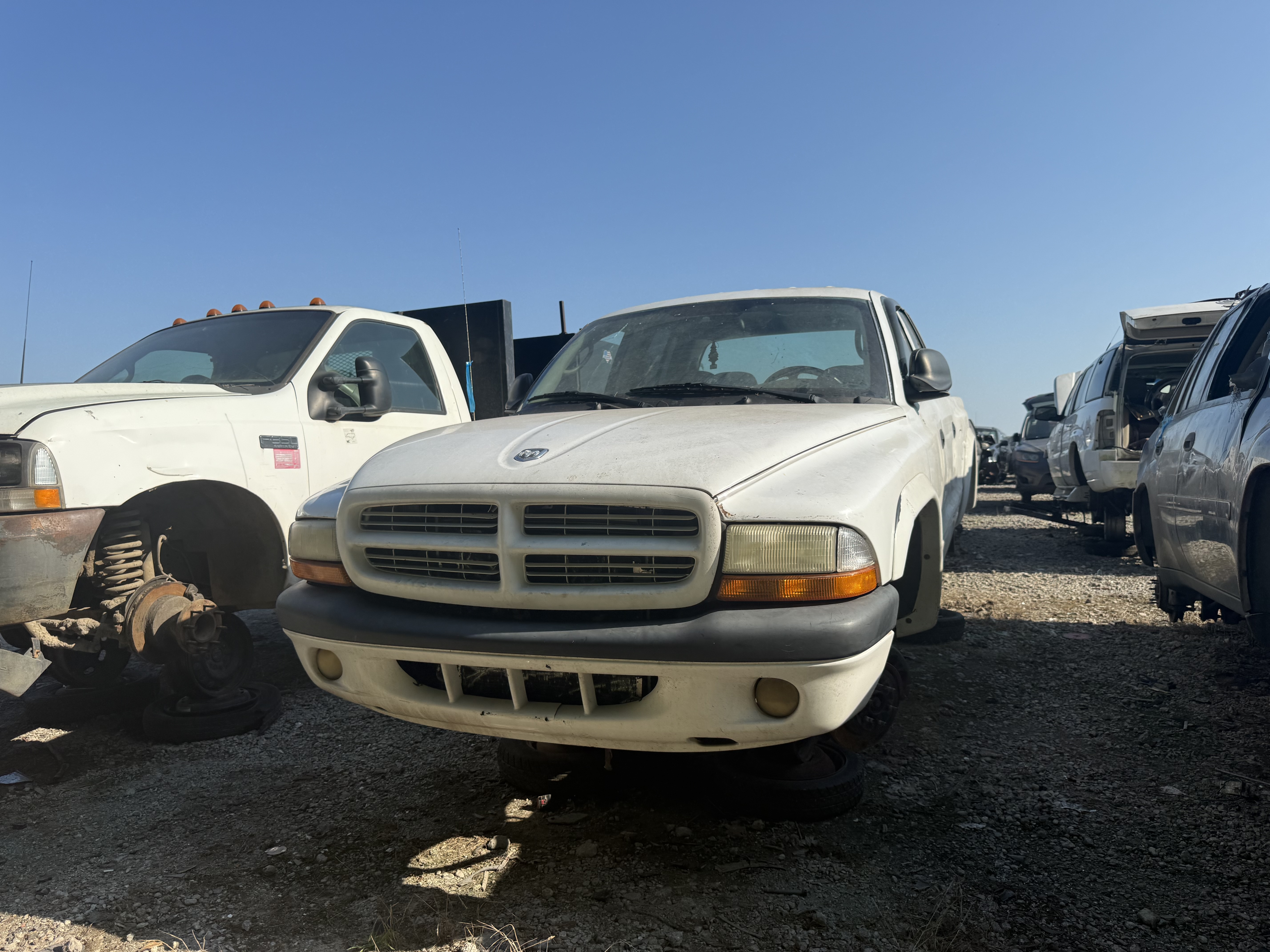 2003 DODGE Dakota