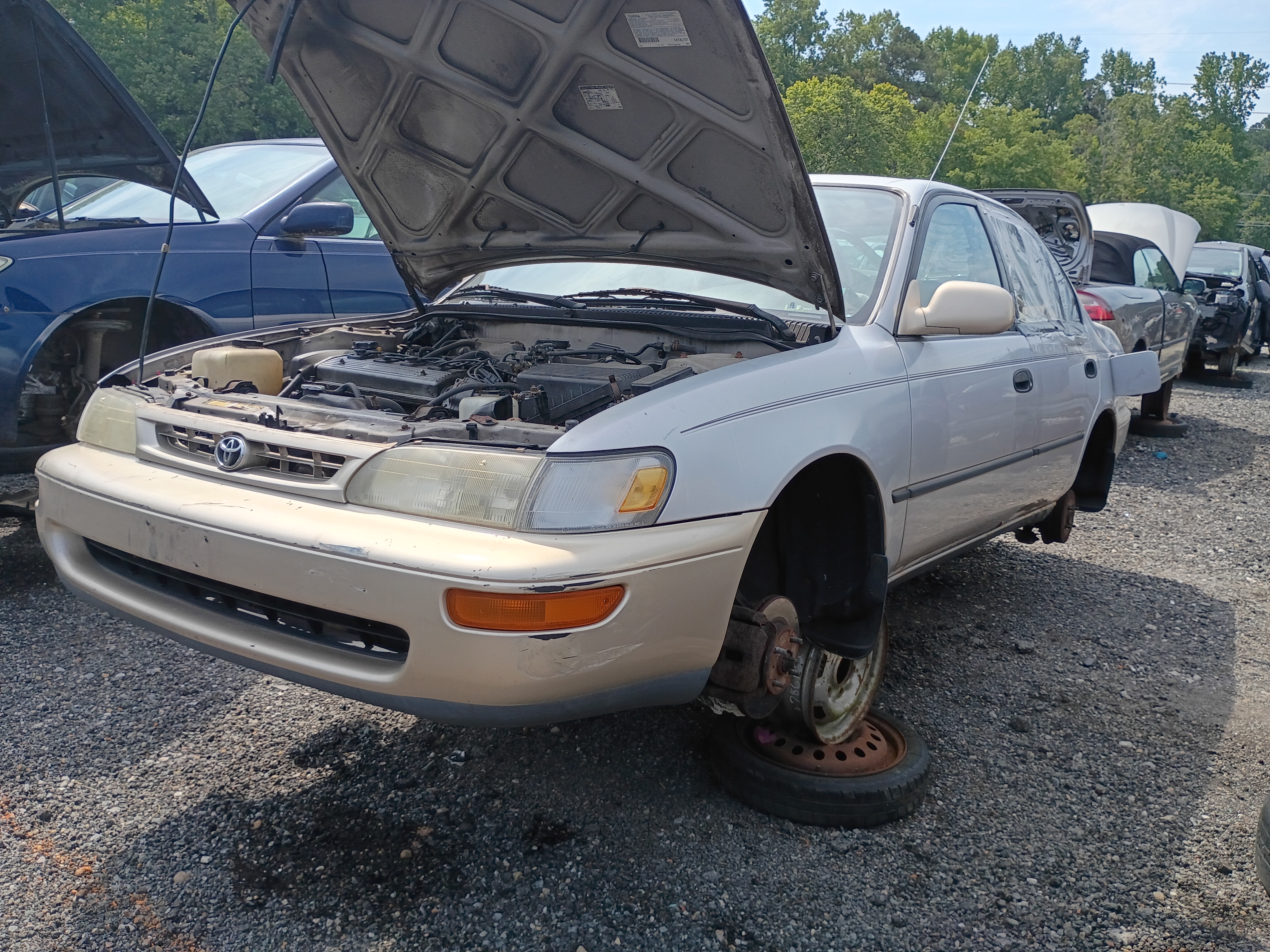 1997 TOYOTA Corolla