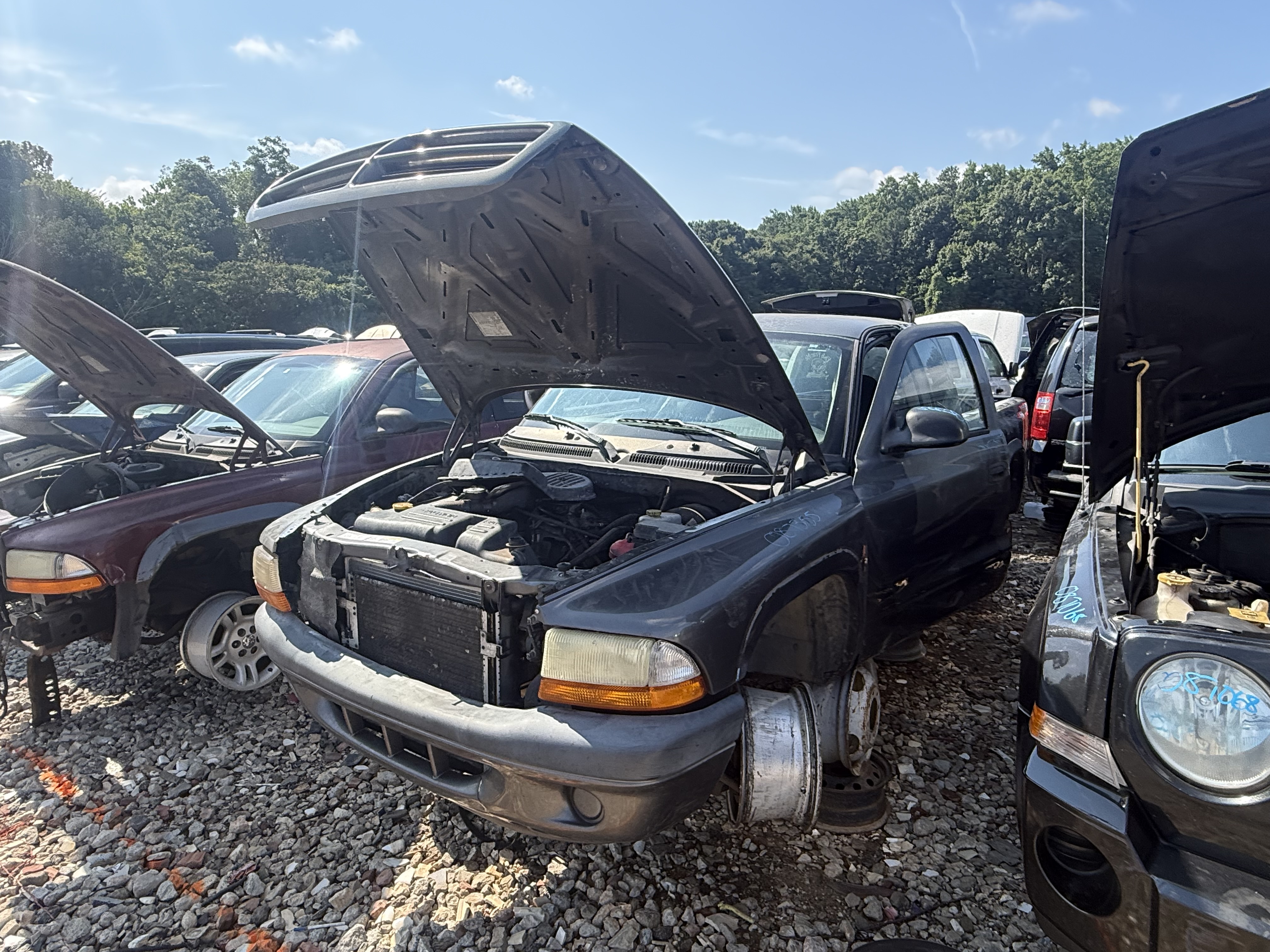 2003 DODGE Dakota
