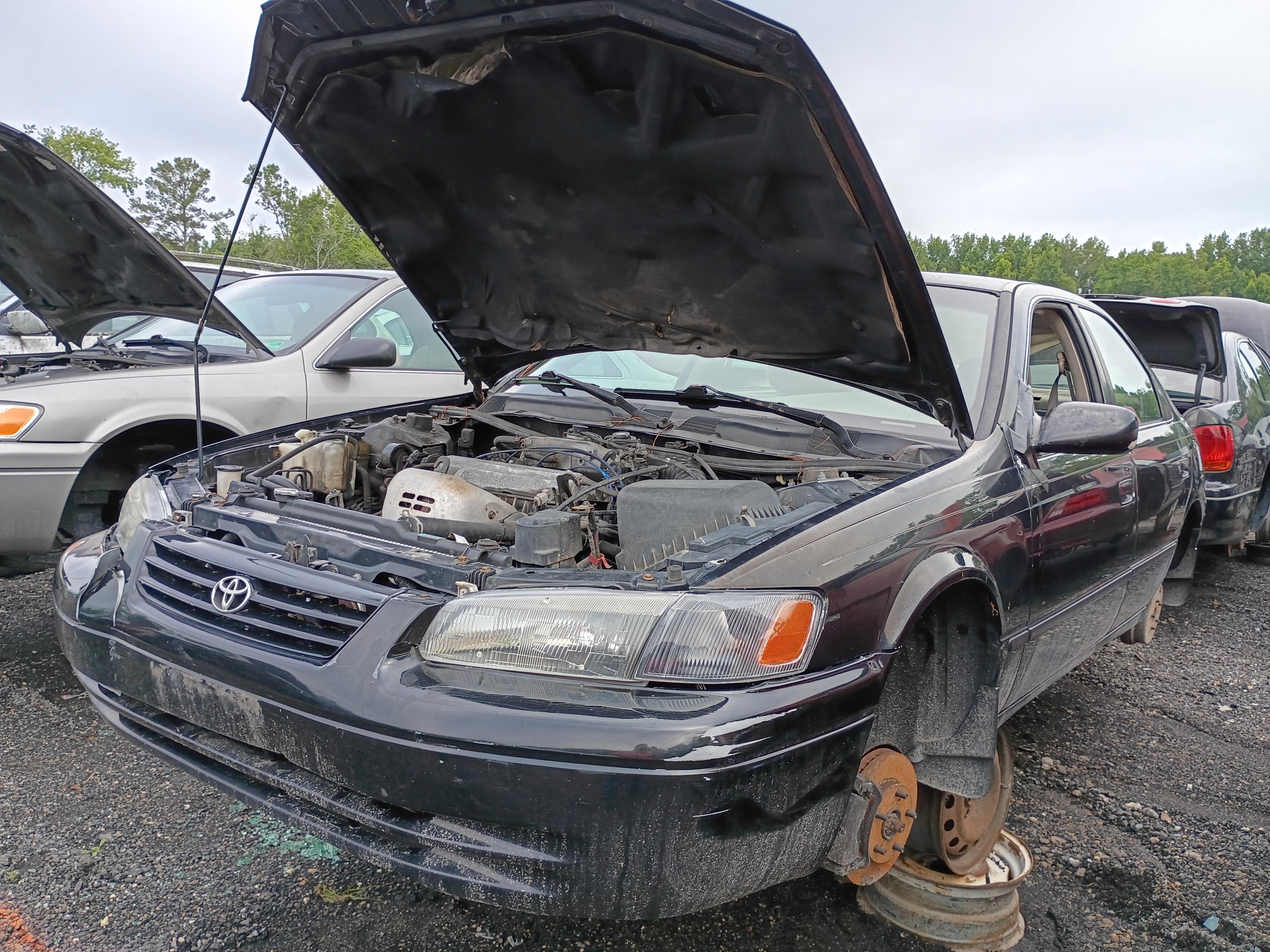 1998 TOYOTA Camry