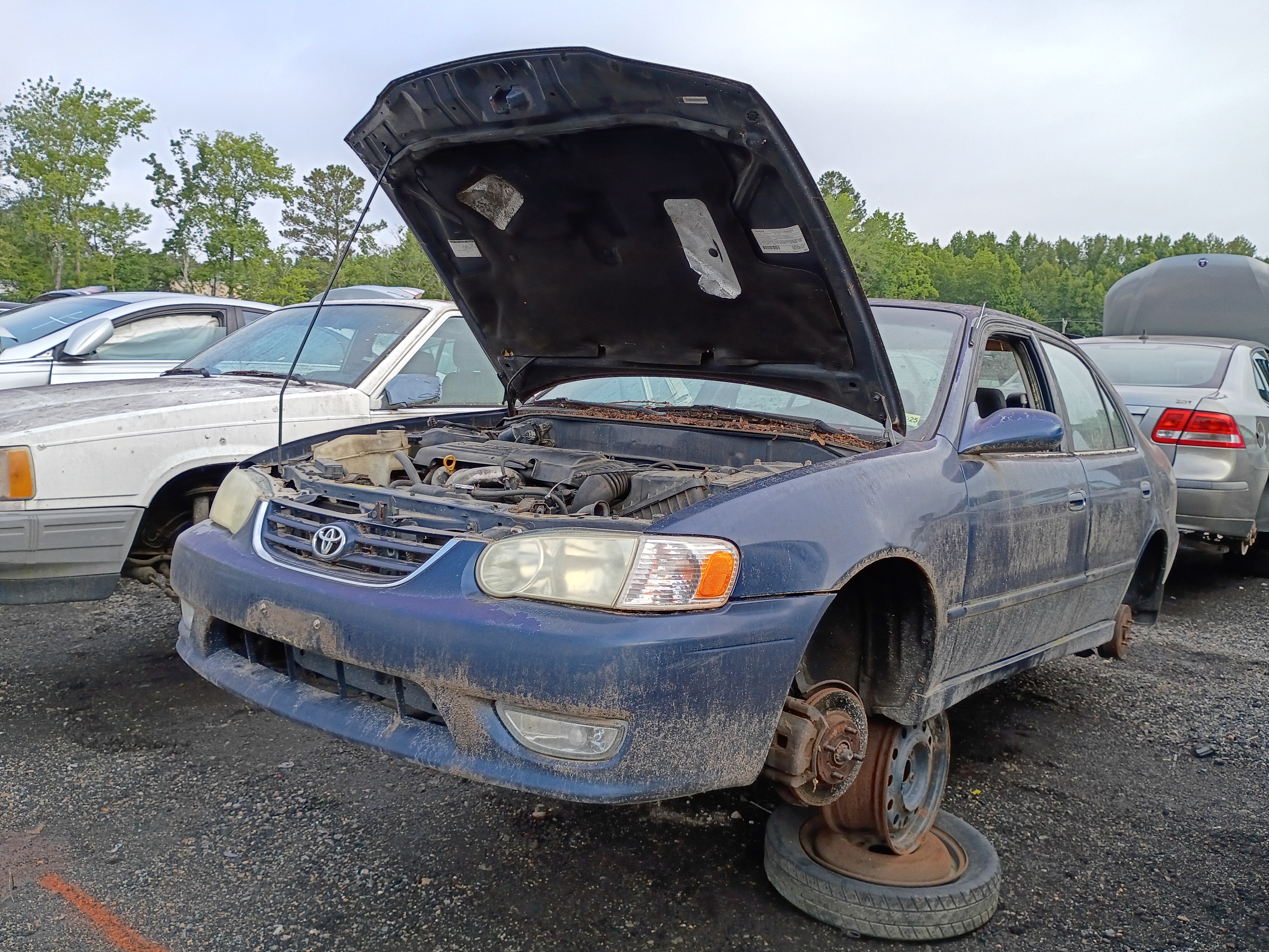 2001 TOYOTA Corolla