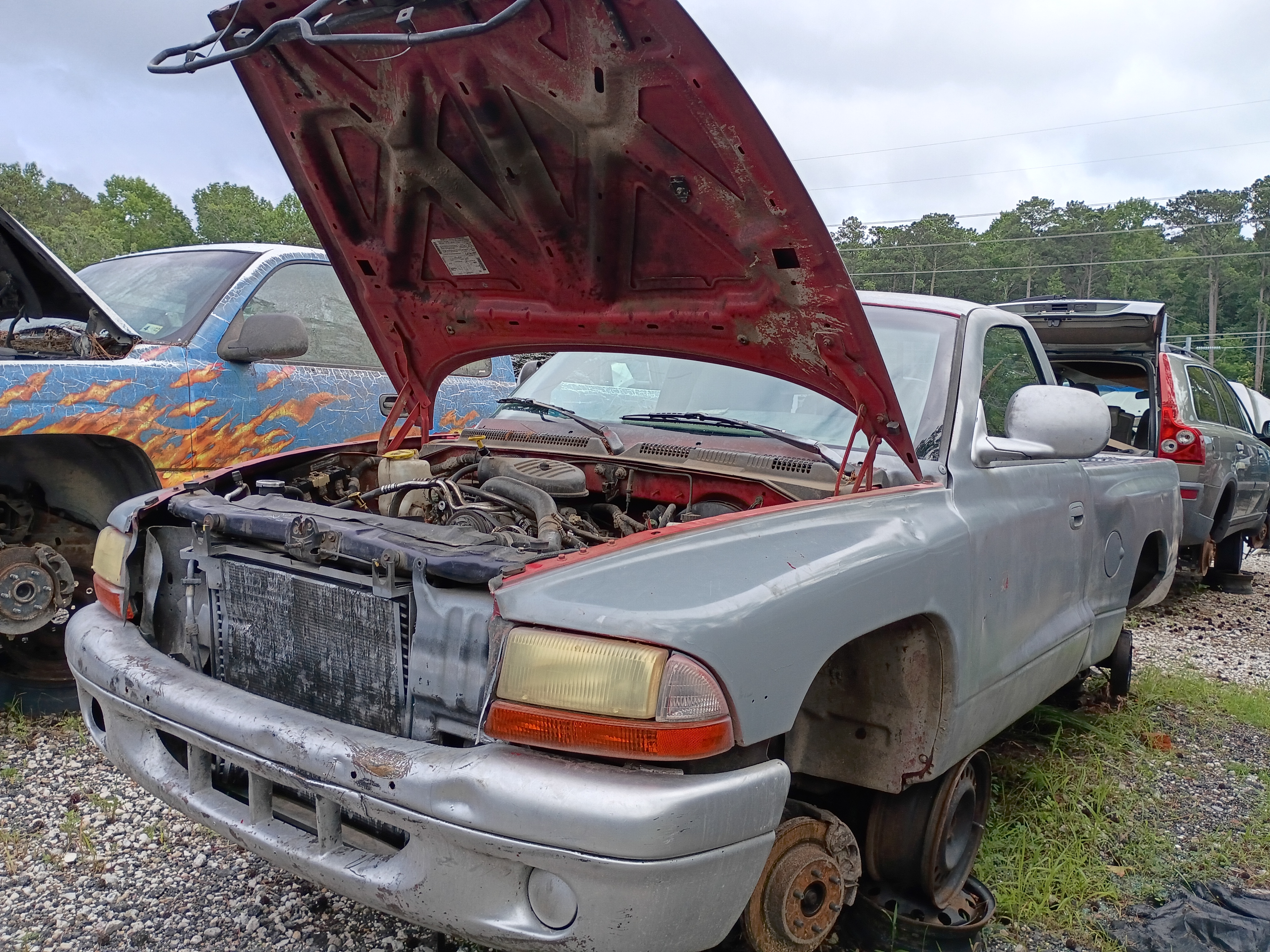 1998 DODGE Dakota