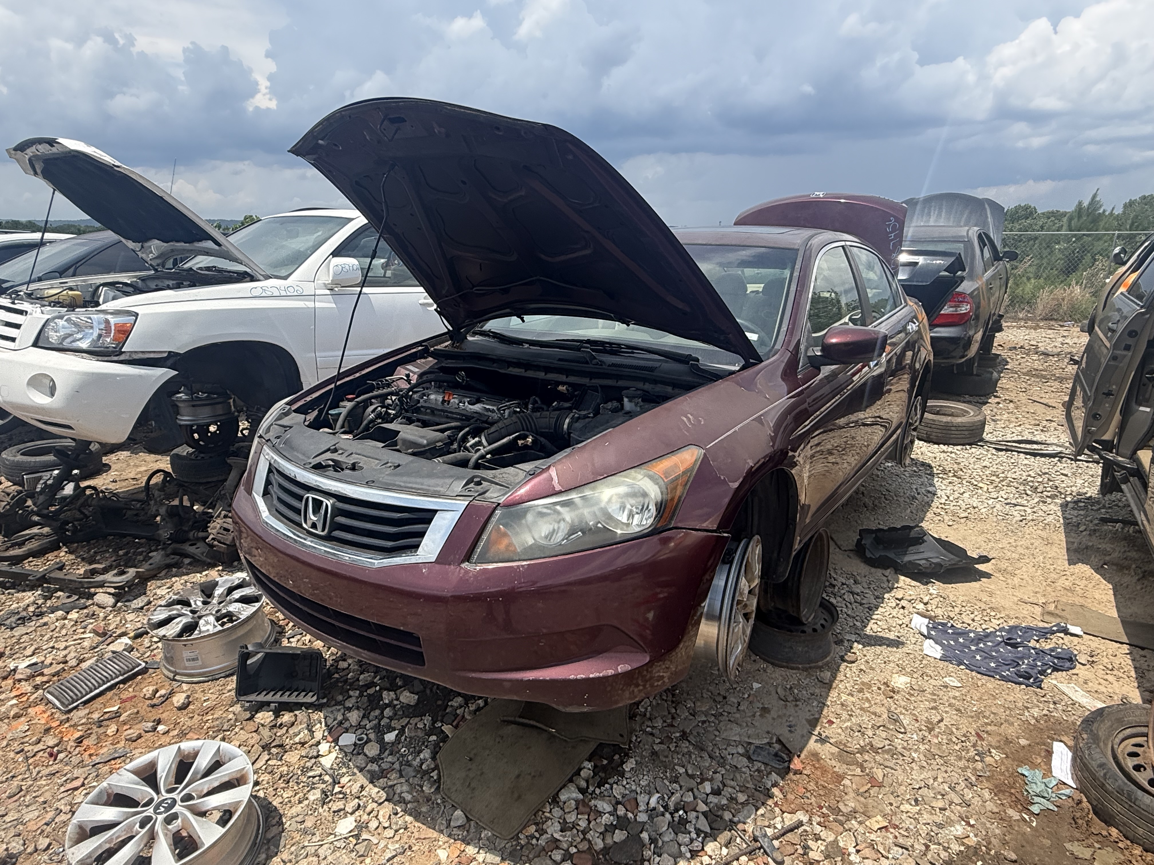 2010 HONDA Accord