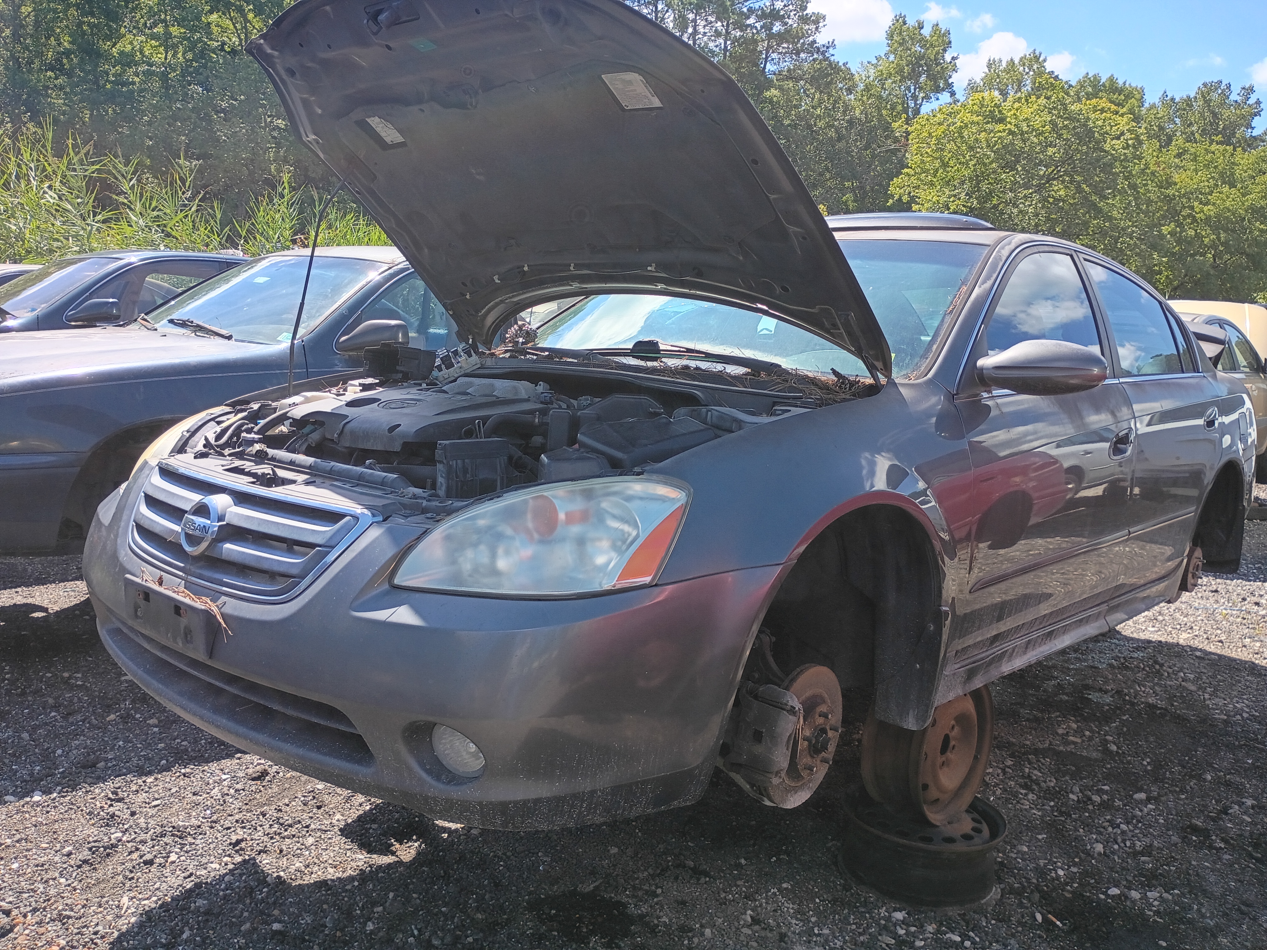 2004 NISSAN Altima