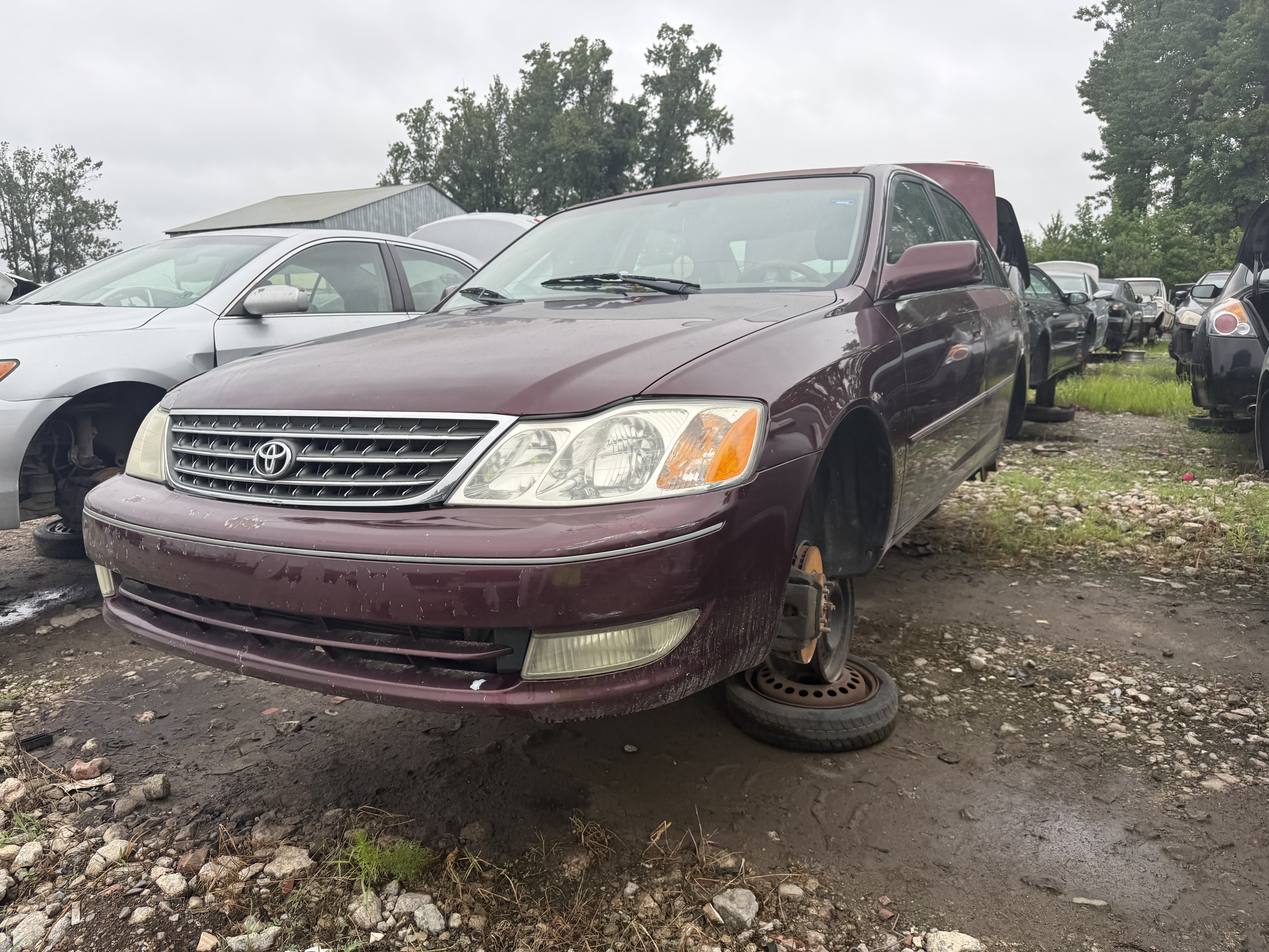 2004 TOYOTA Avalon