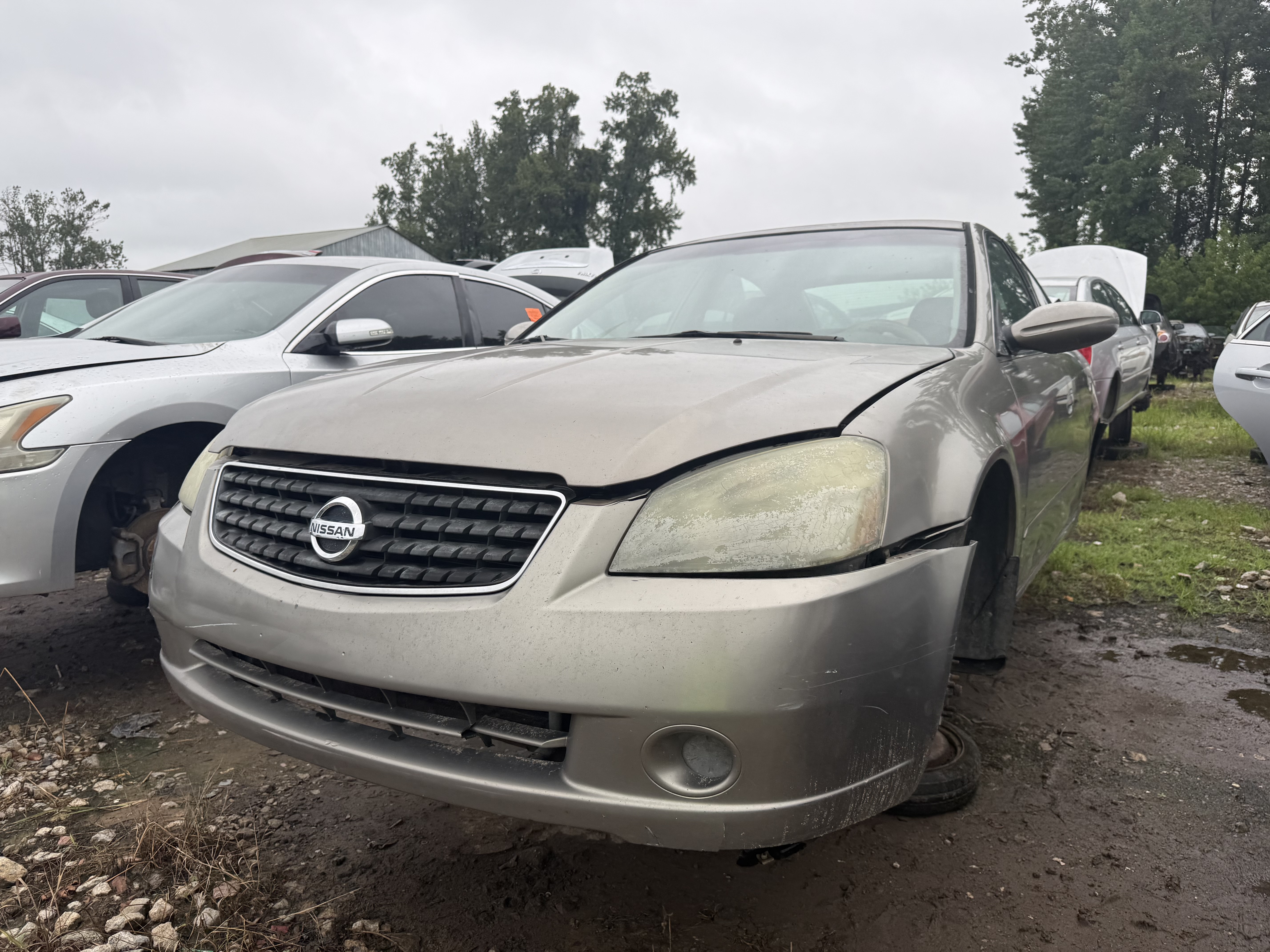 2005 NISSAN Altima