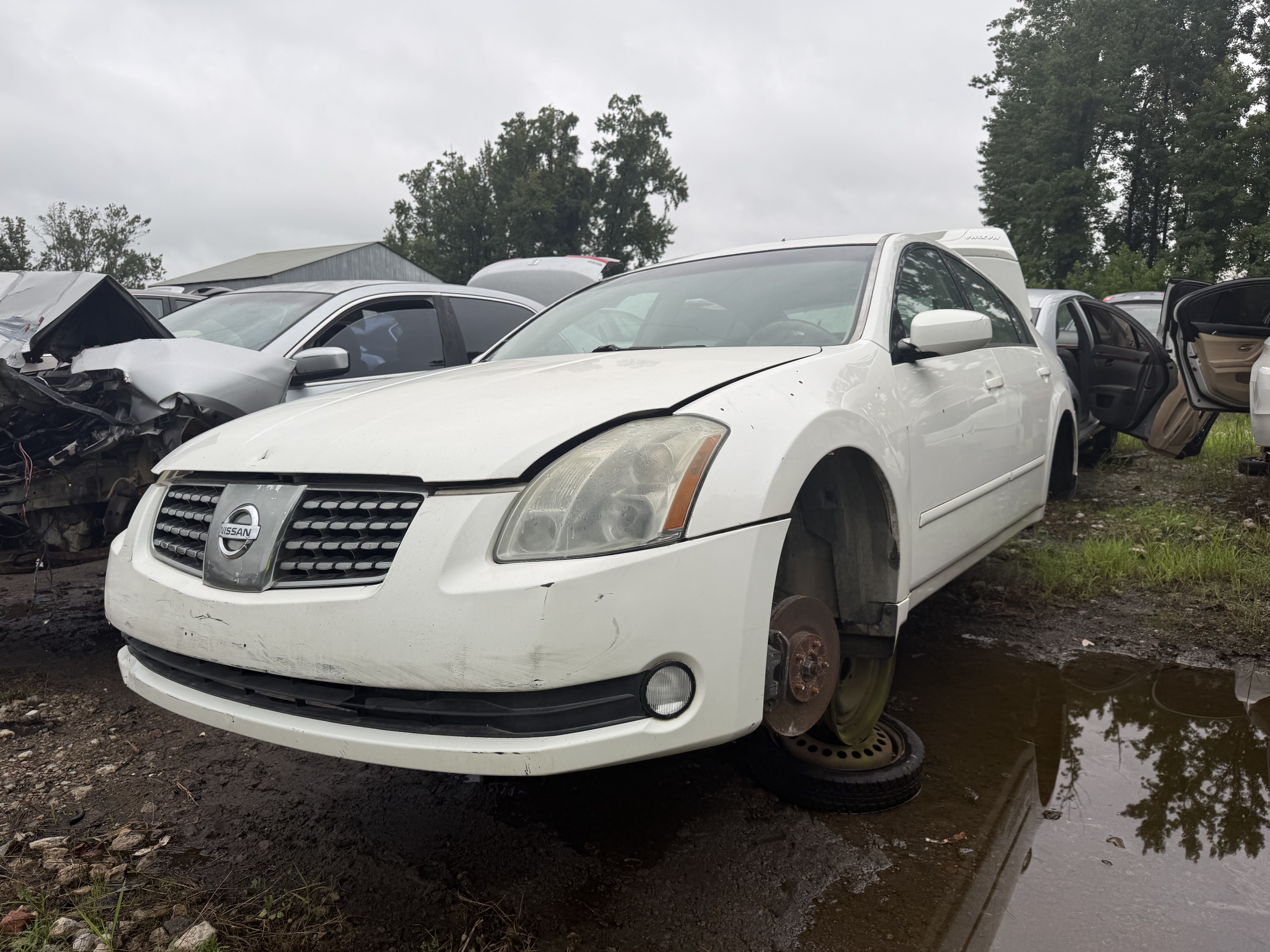 2006 NISSAN Maxima