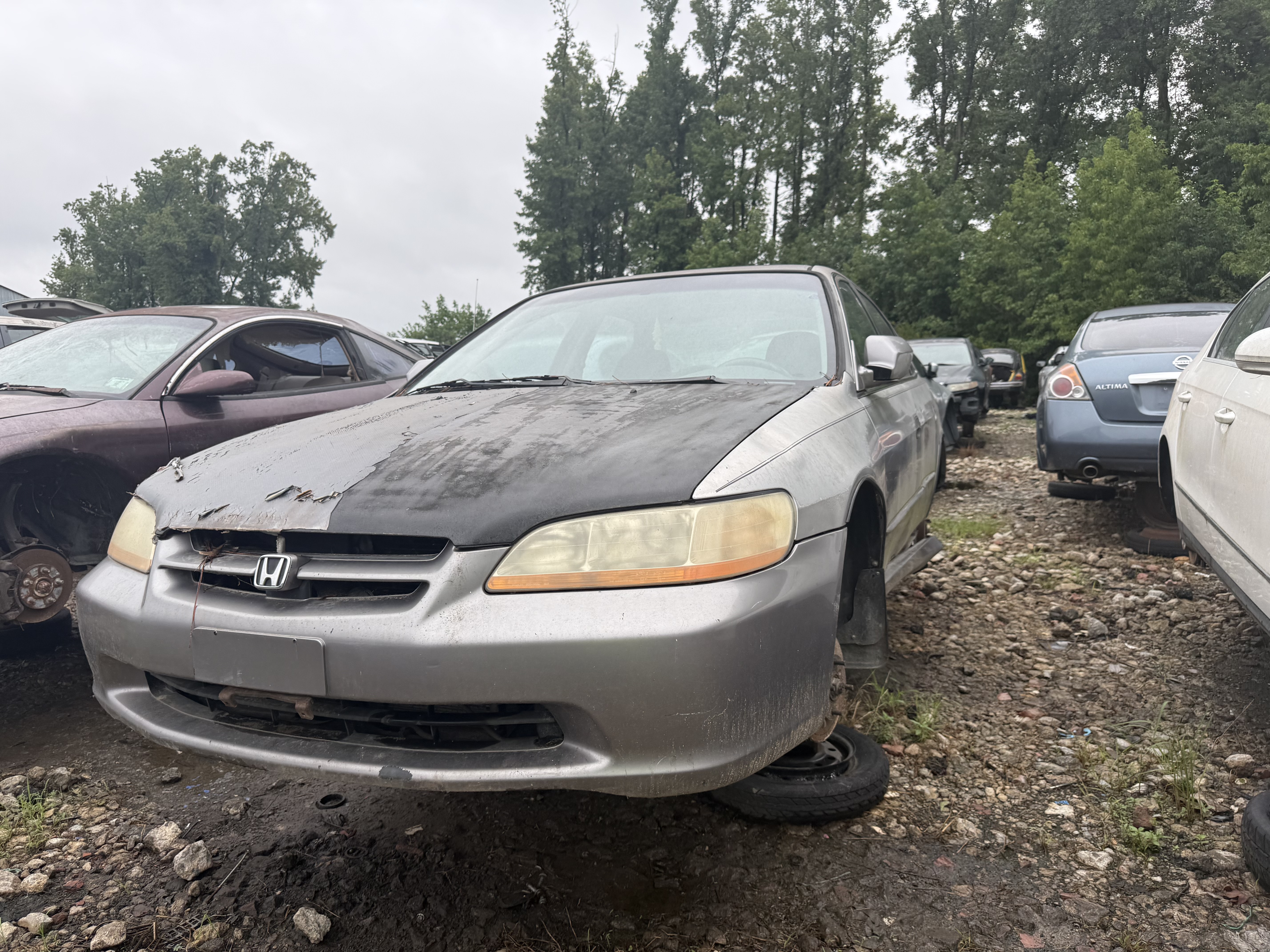 2000 HONDA Accord