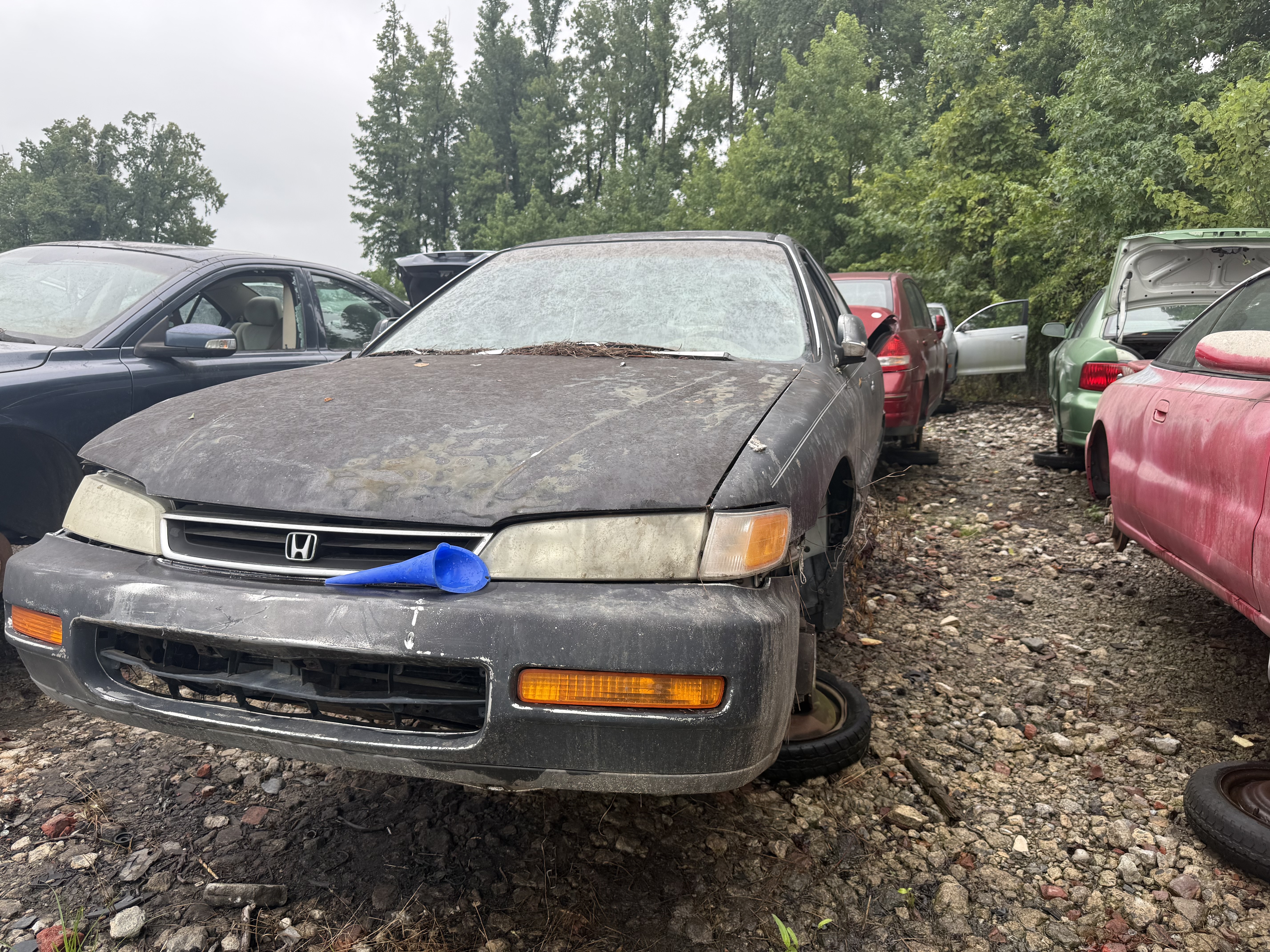 1996 HONDA Accord