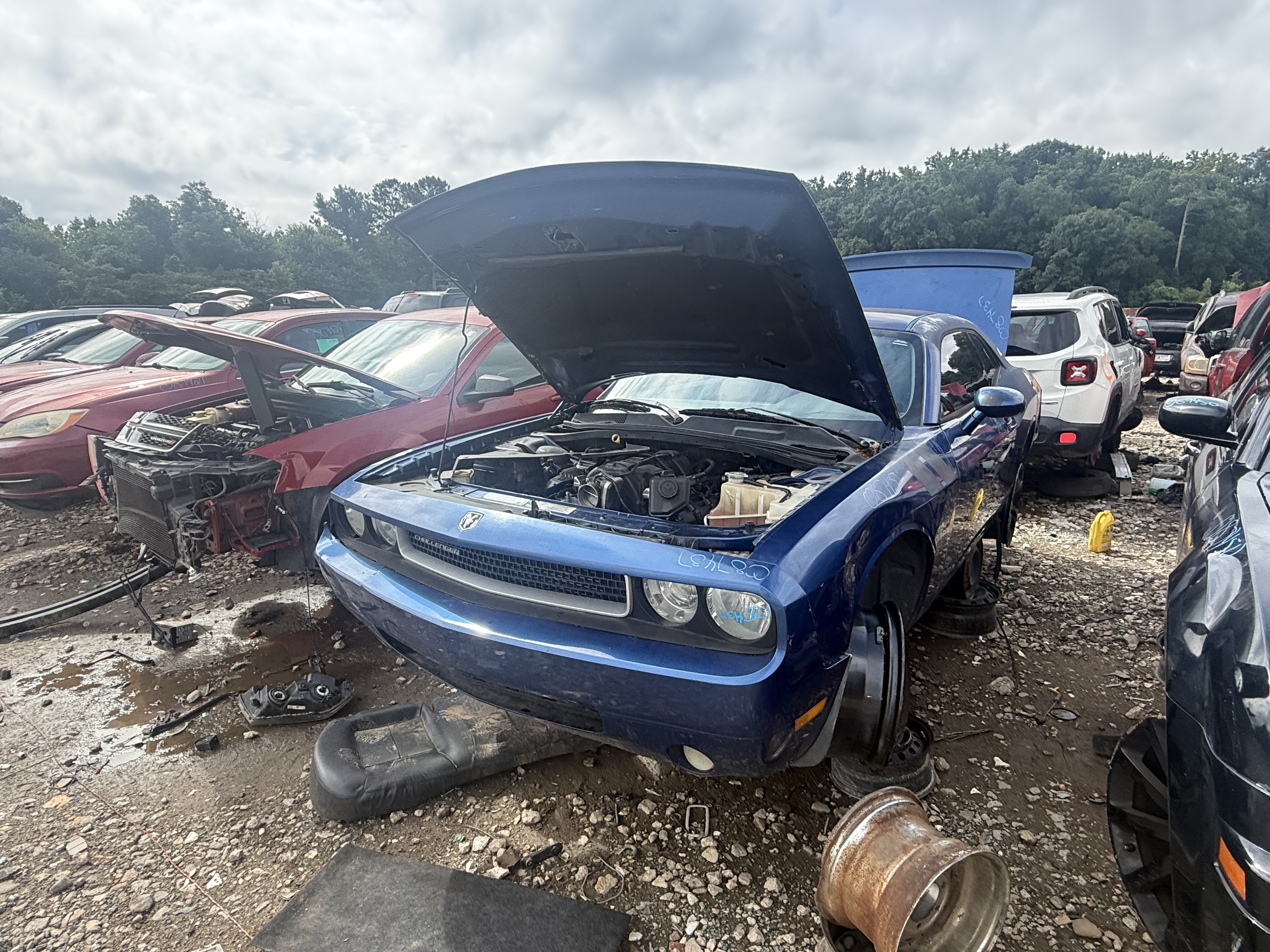 2009 DODGE Challenger