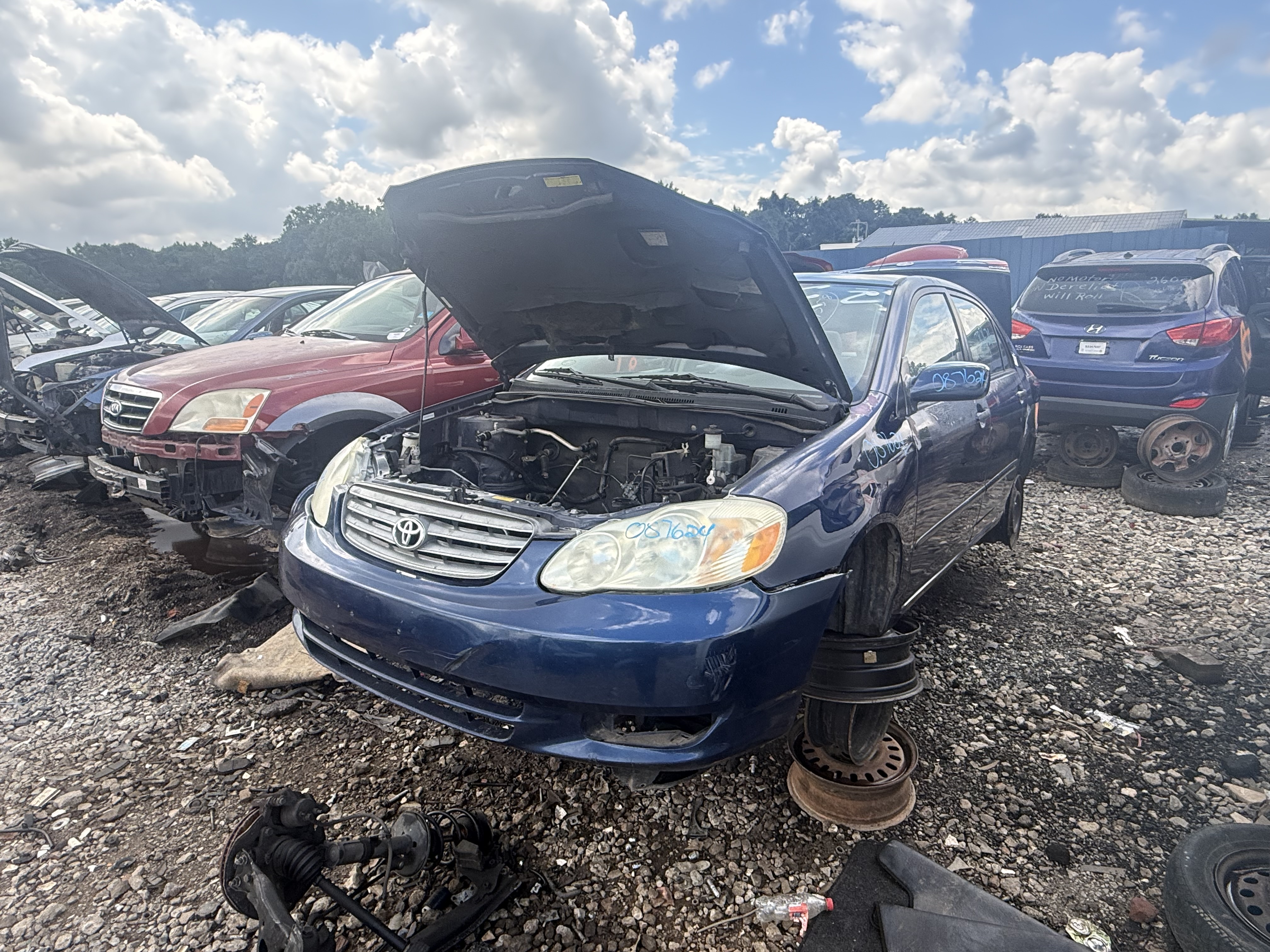 2003 TOYOTA Corolla