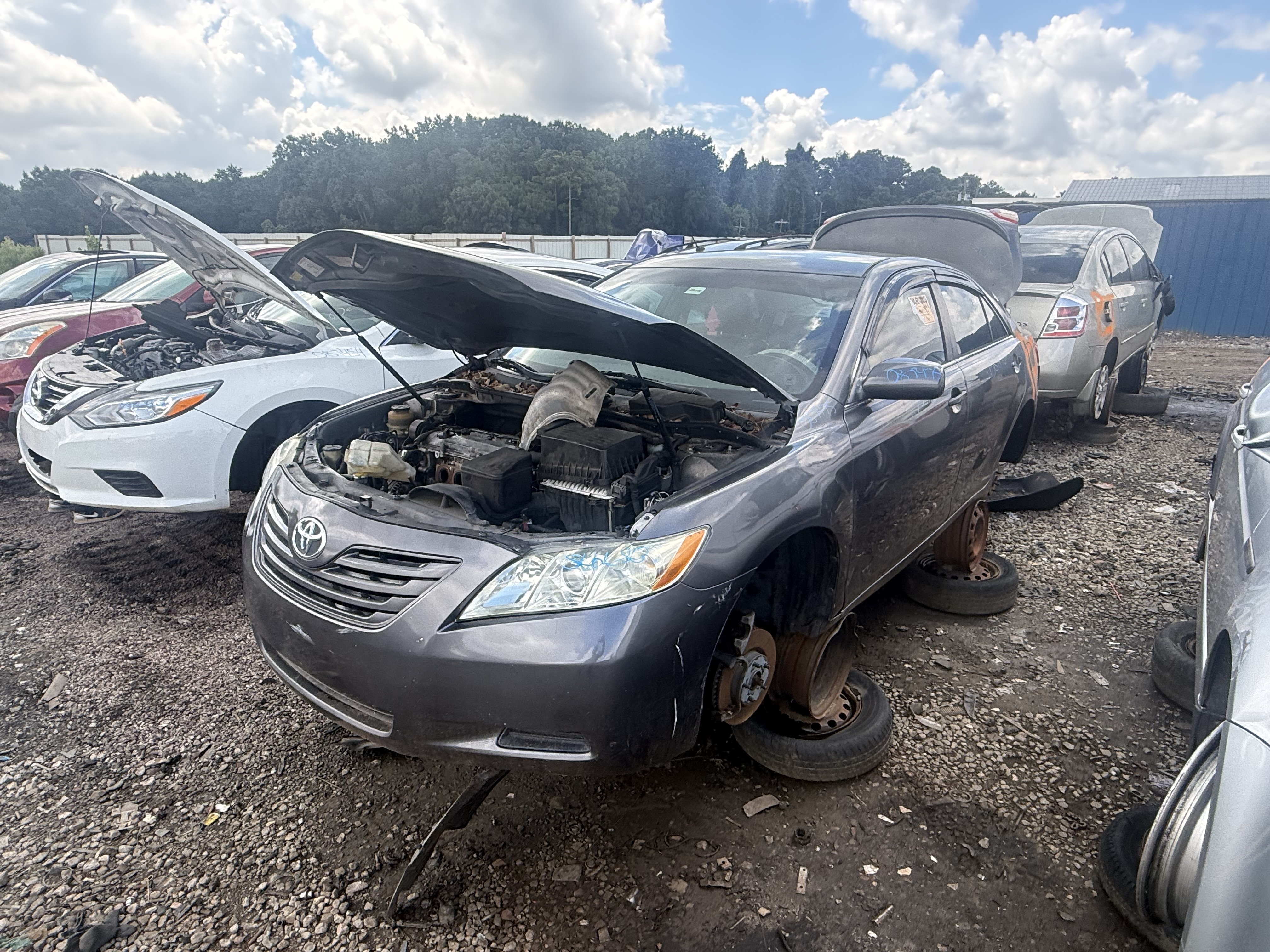 2008 TOYOTA Camry