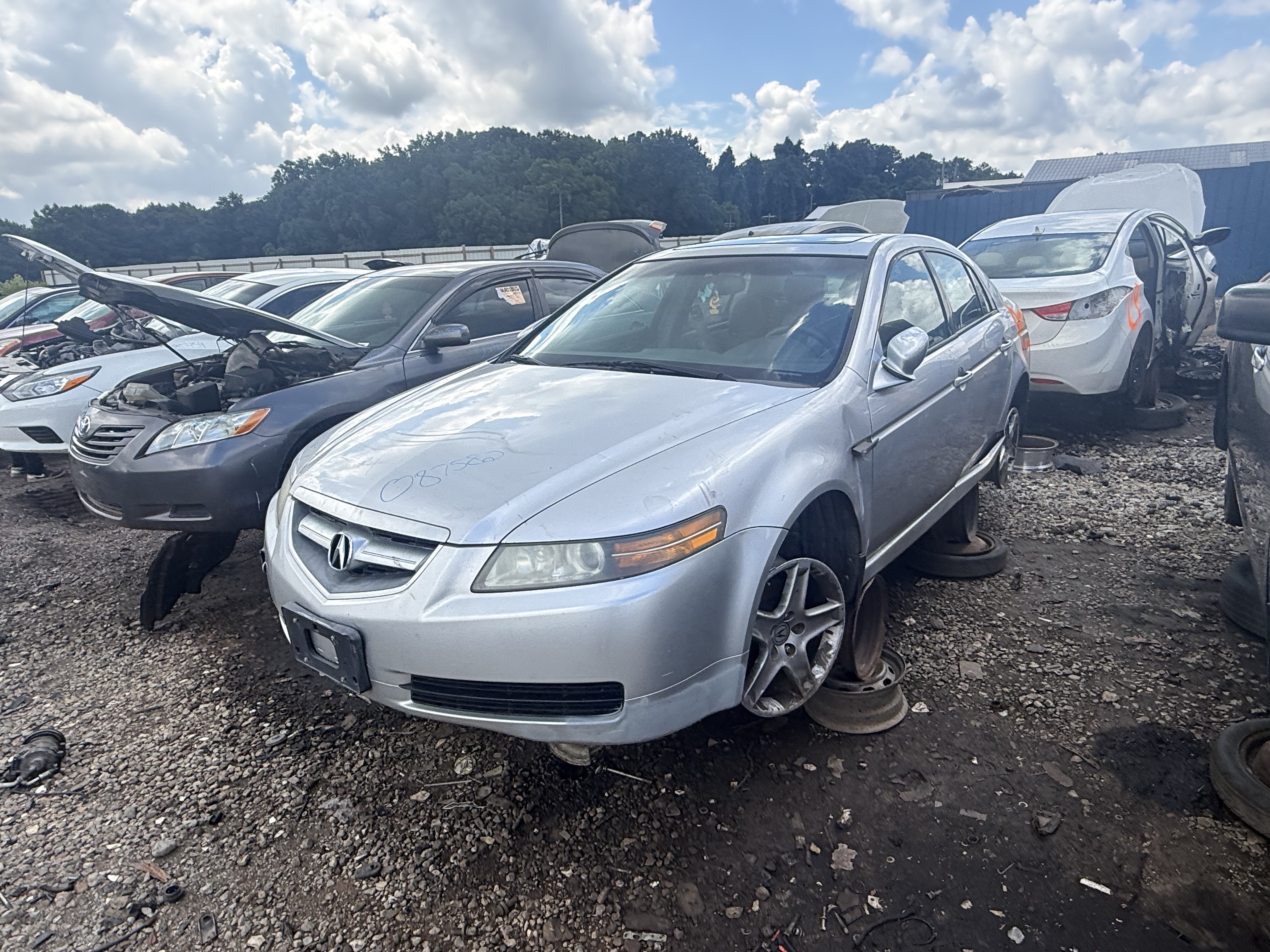 2006 ACURA Tl