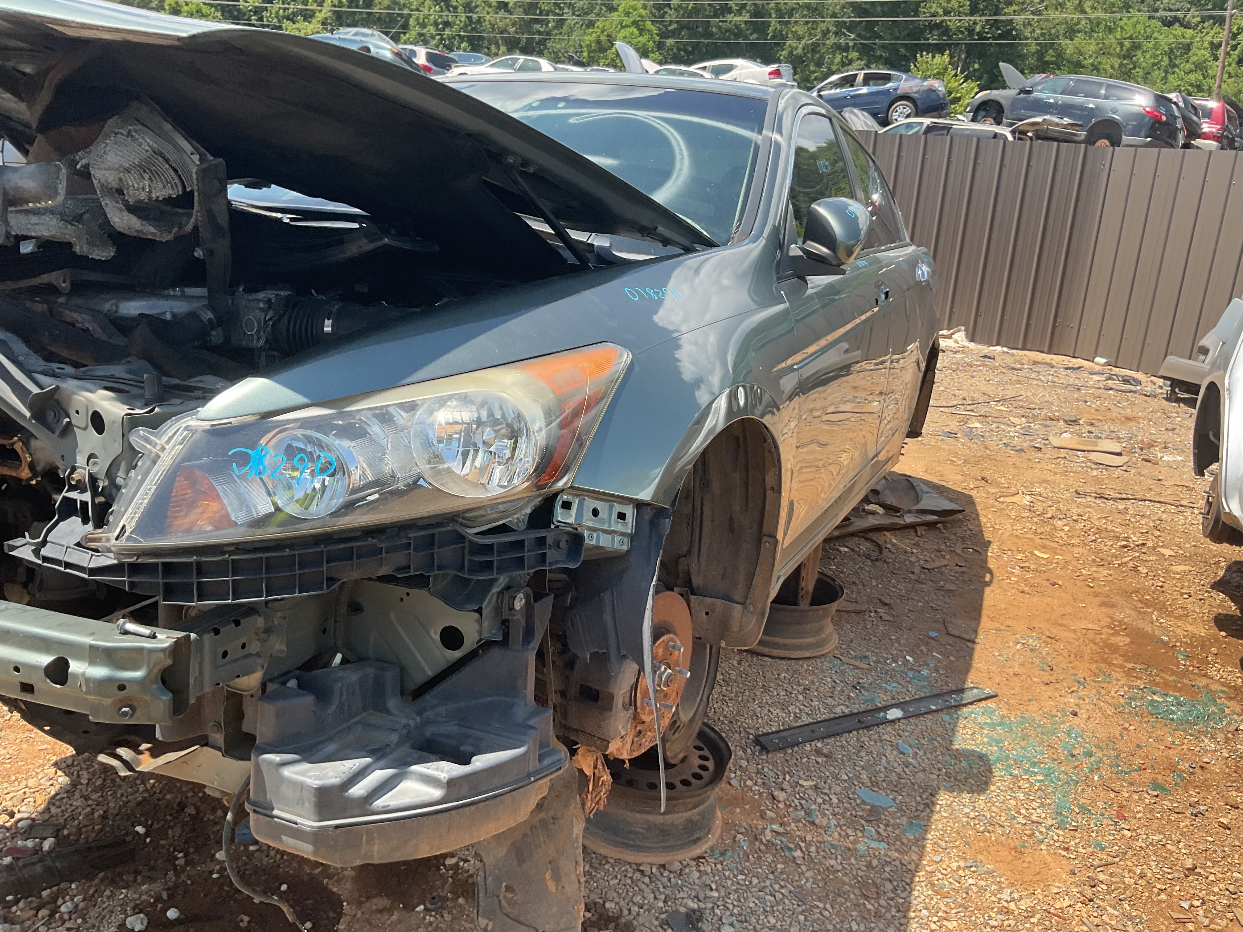 2009 HONDA Accord