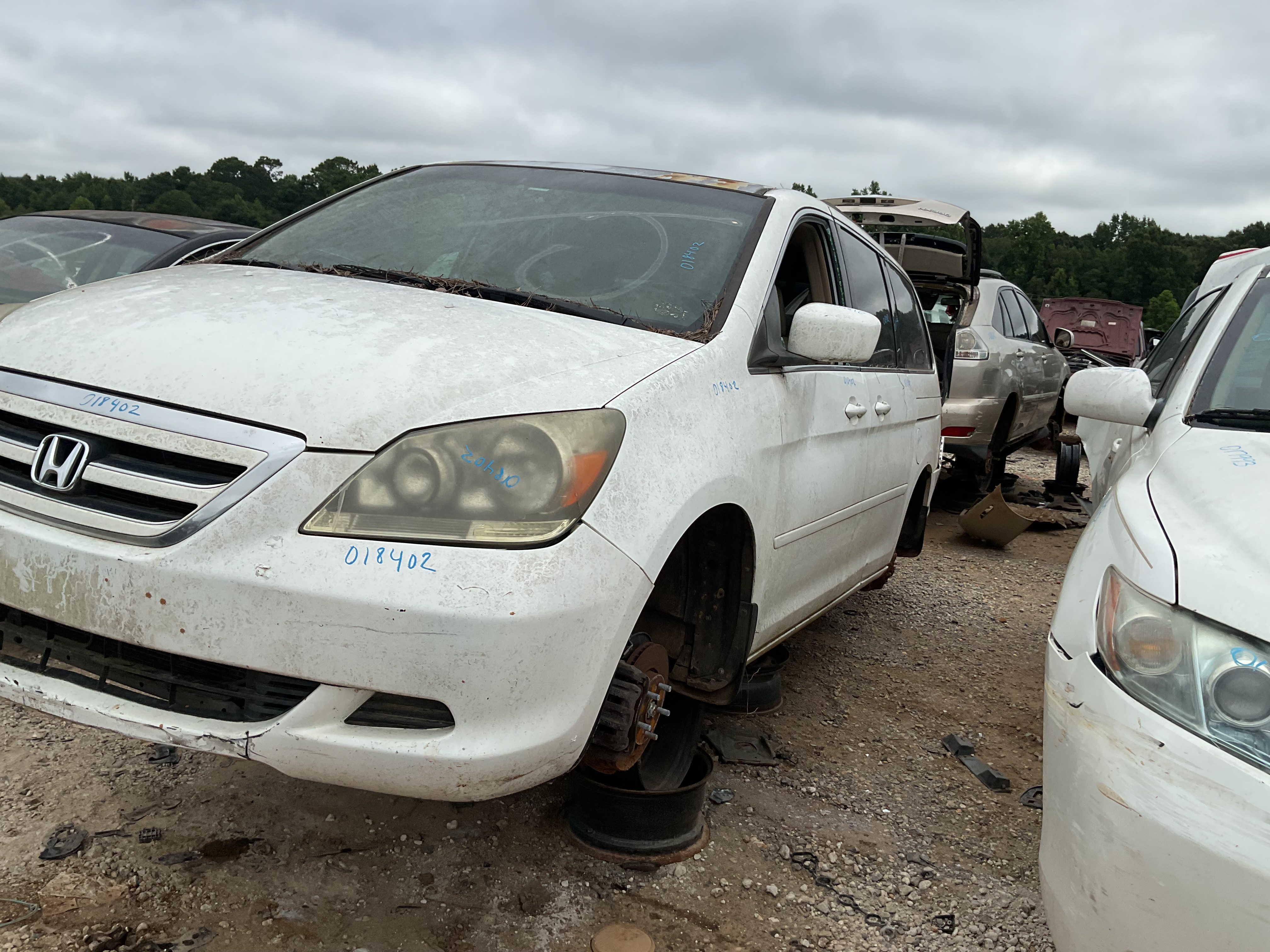 2006 HONDA Odyssey