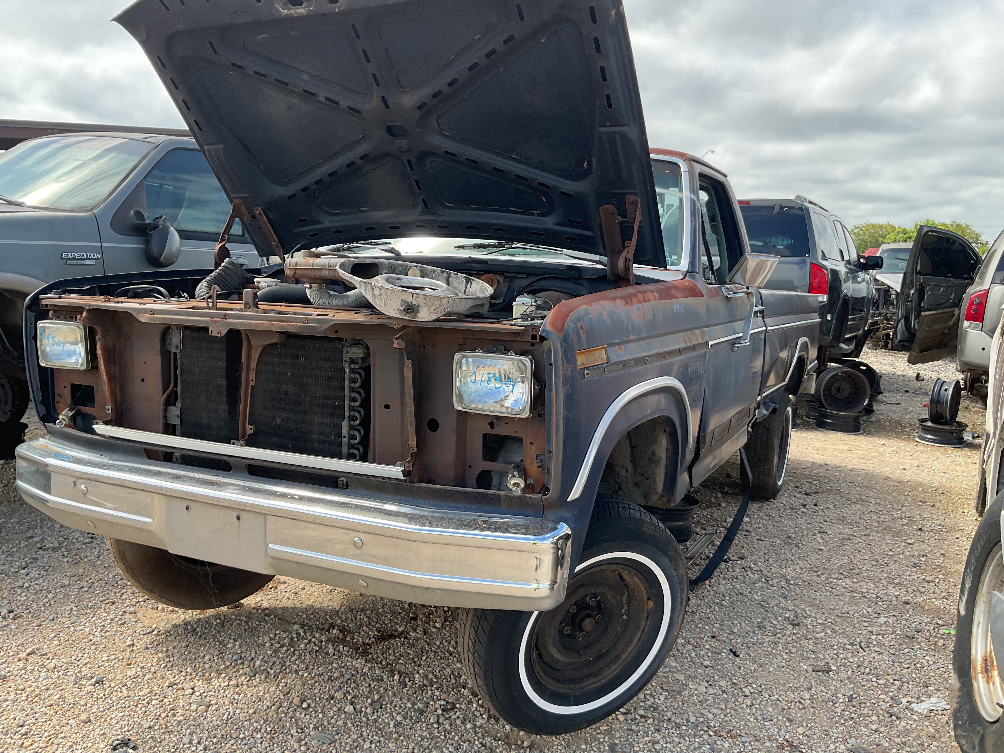 1981 FORD F-100