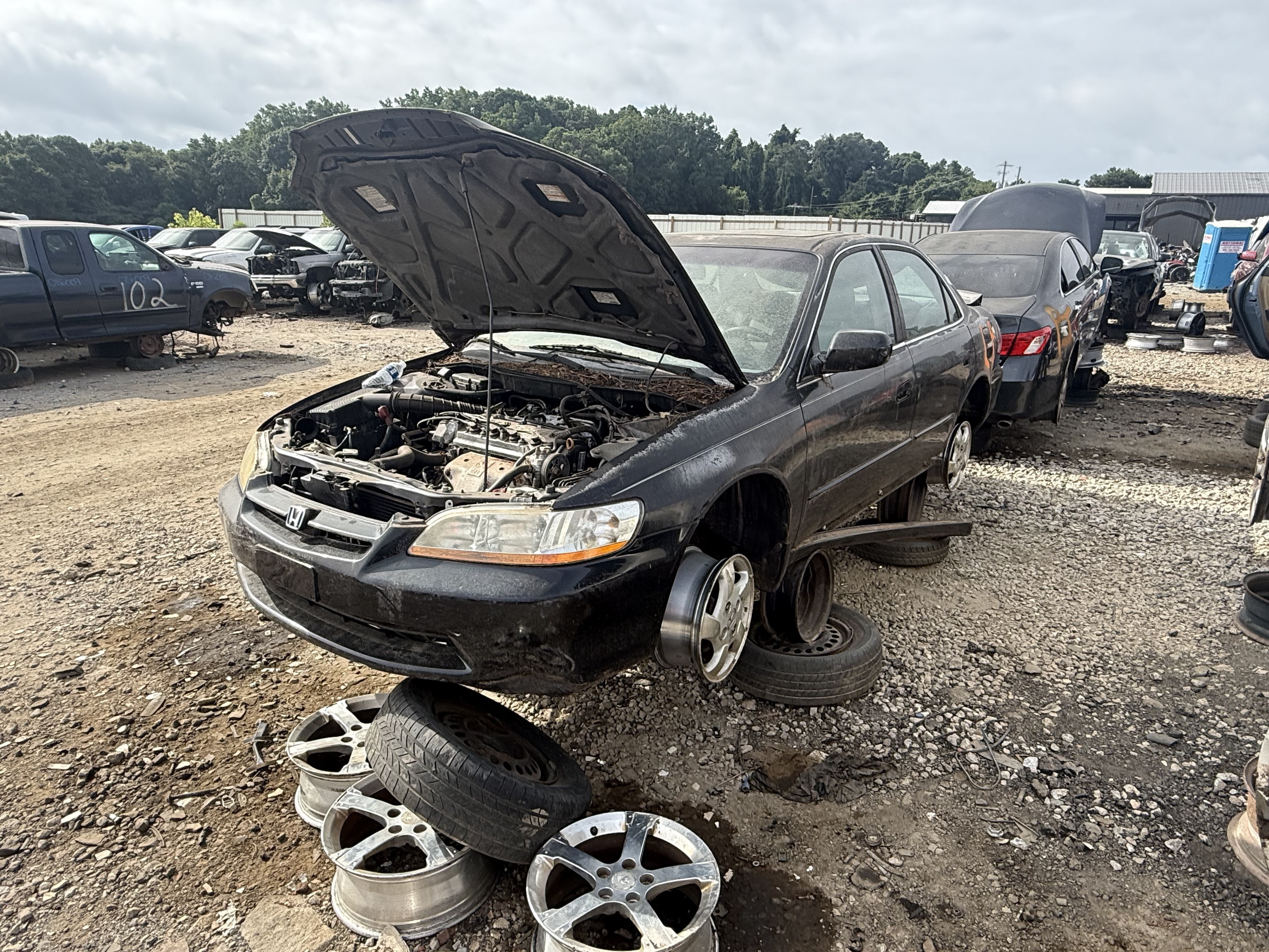1999 HONDA Accord