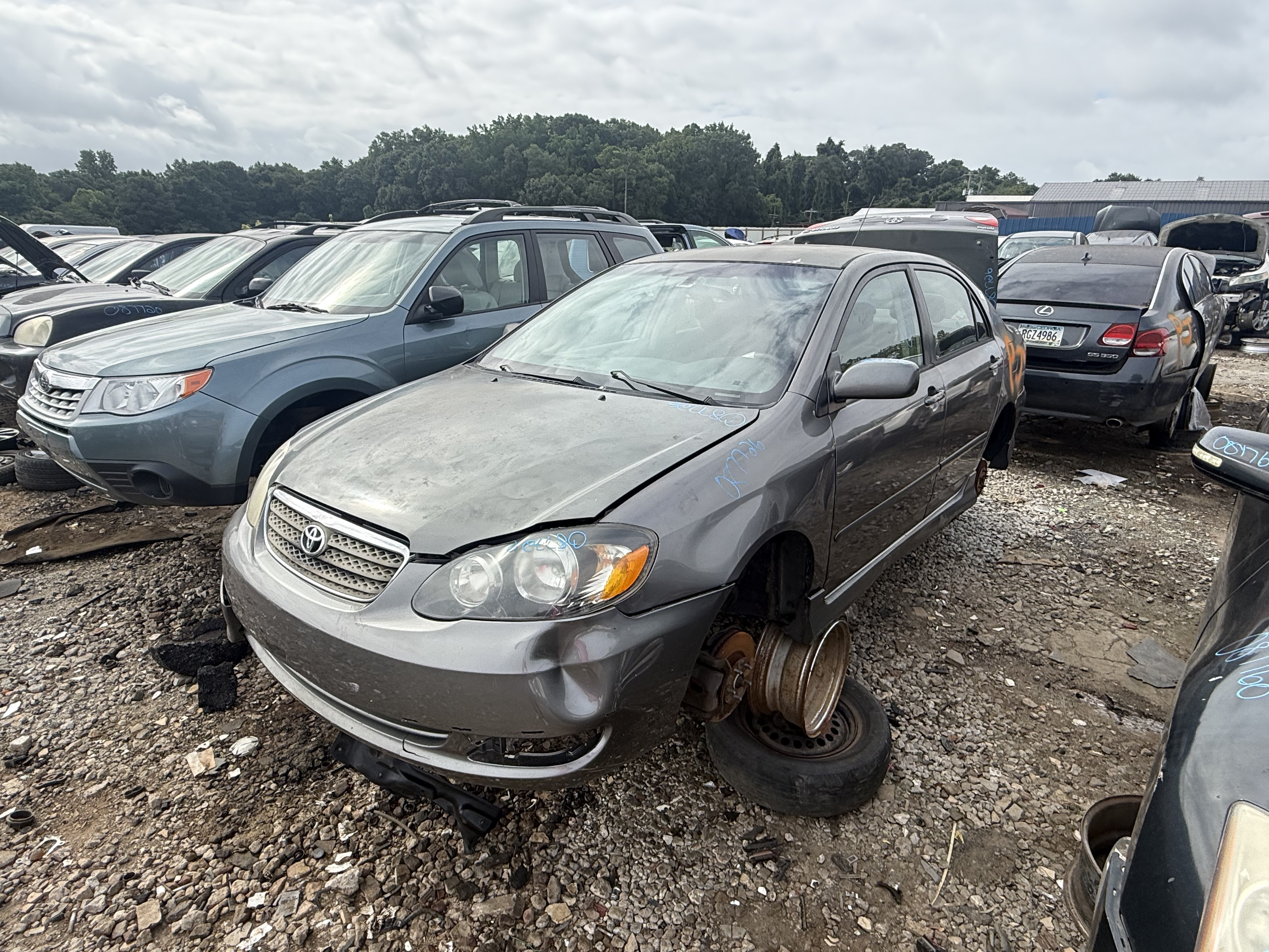 2006 TOYOTA Corolla