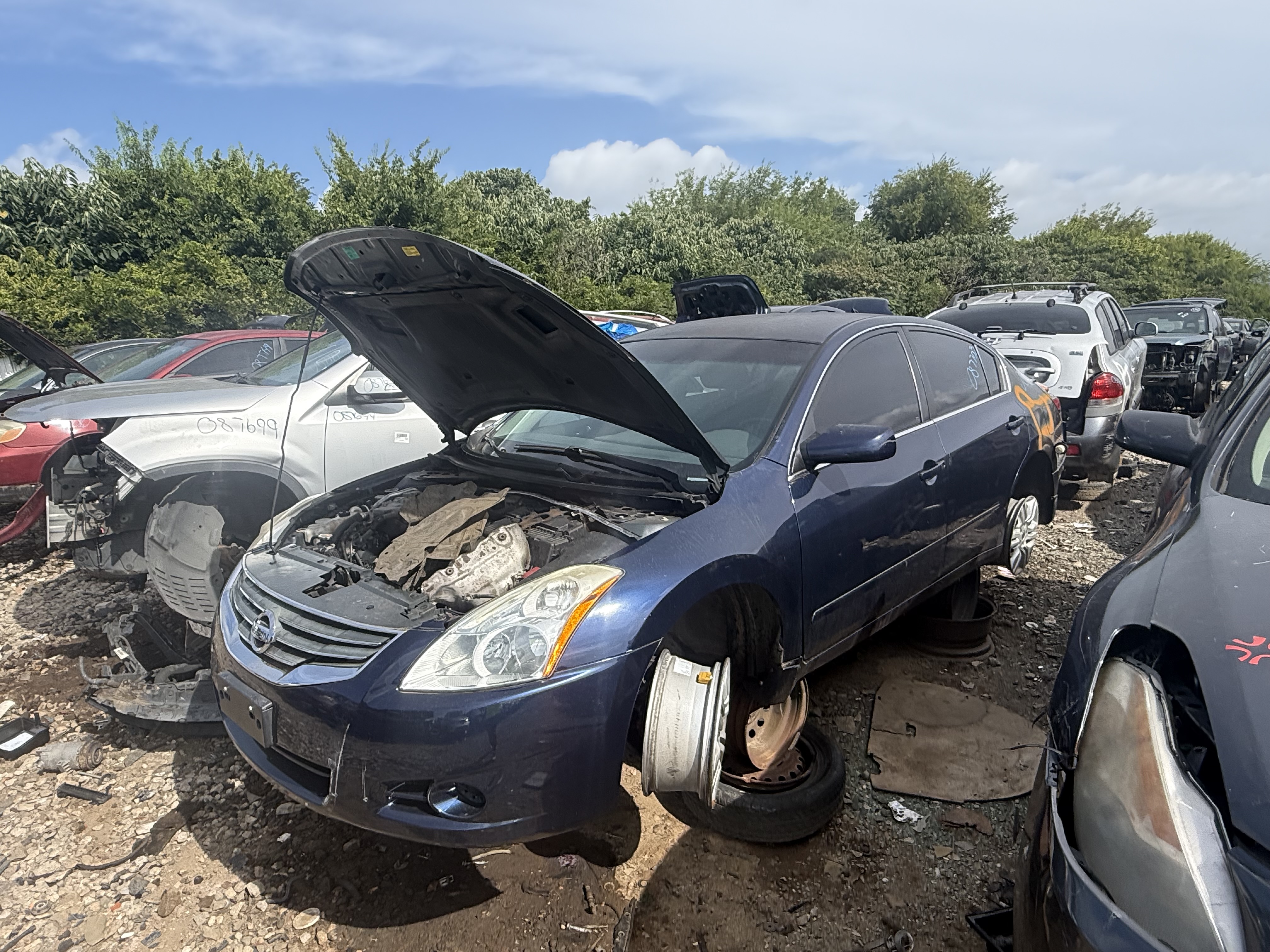 2010 NISSAN Altima