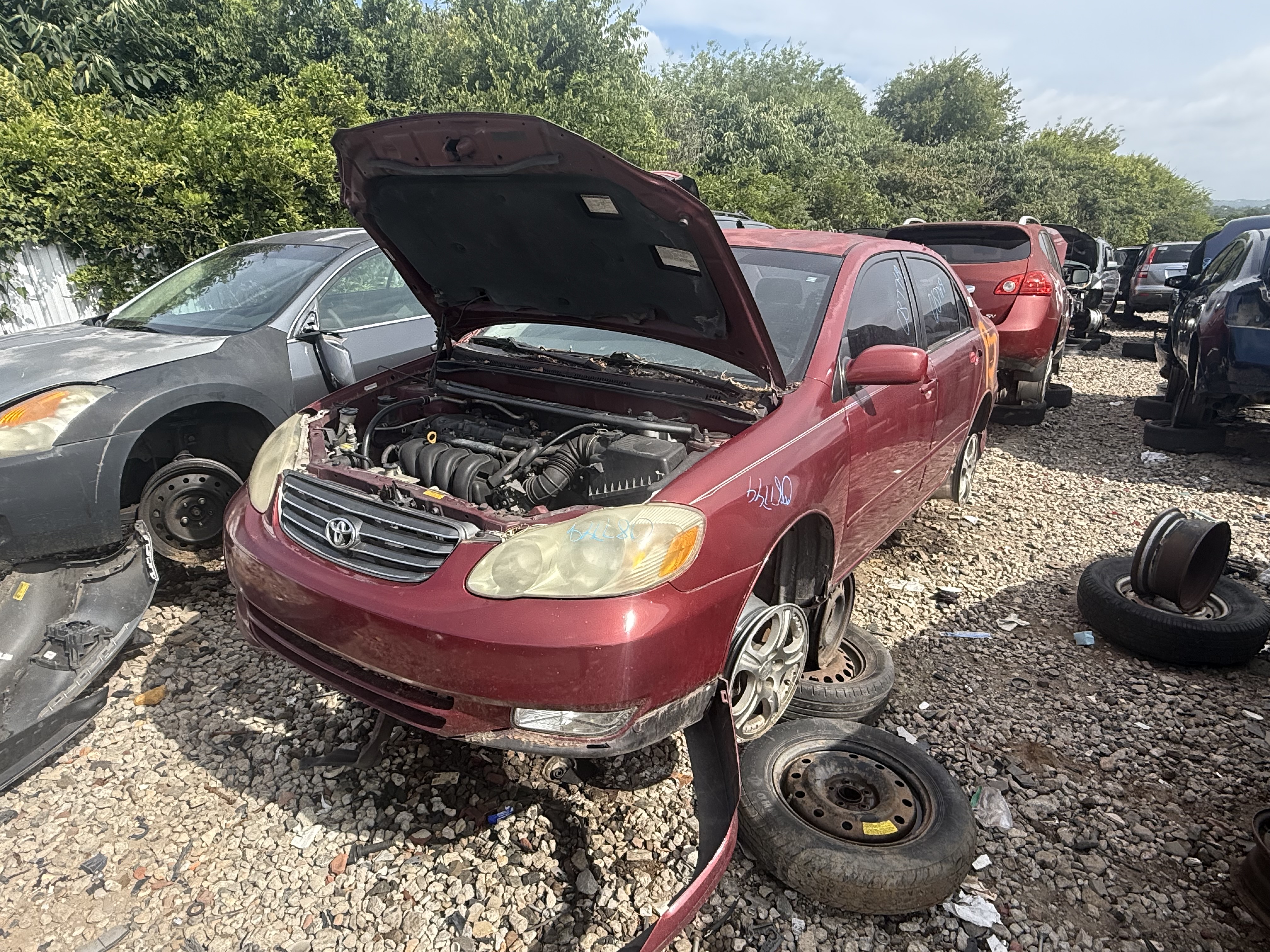 2004 TOYOTA Corolla