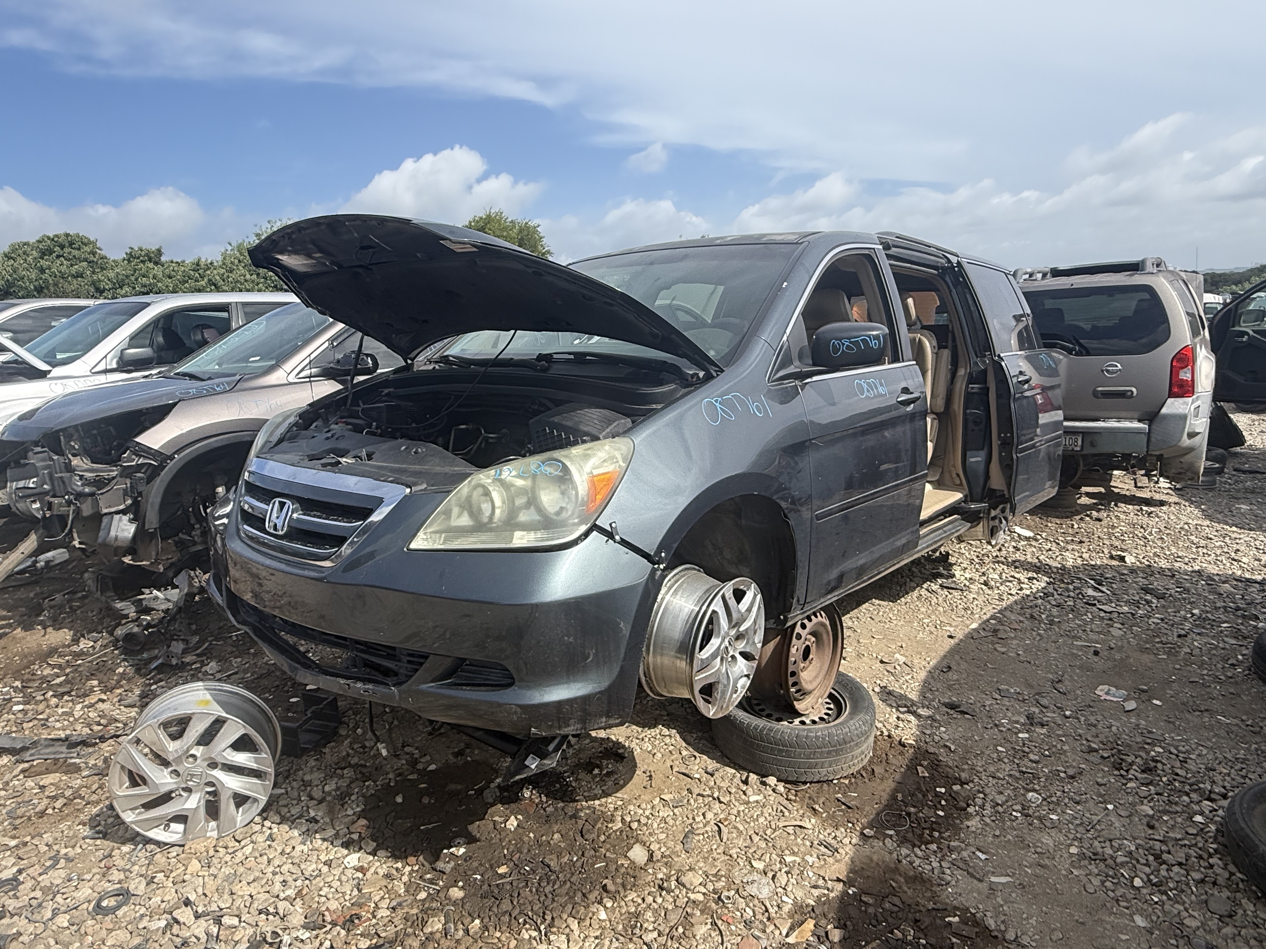 2005 HONDA Odyssey