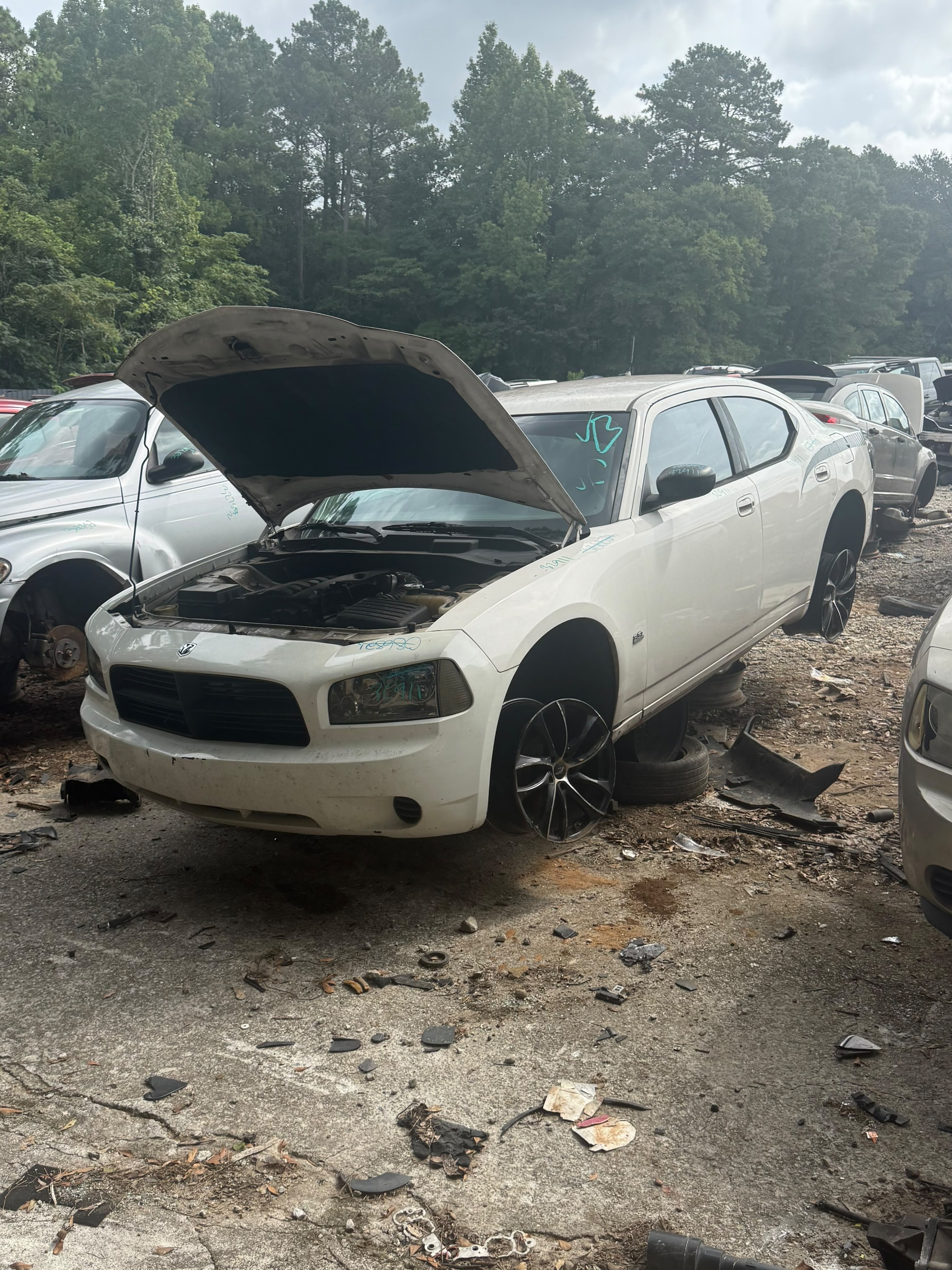 2009 DODGE Charger