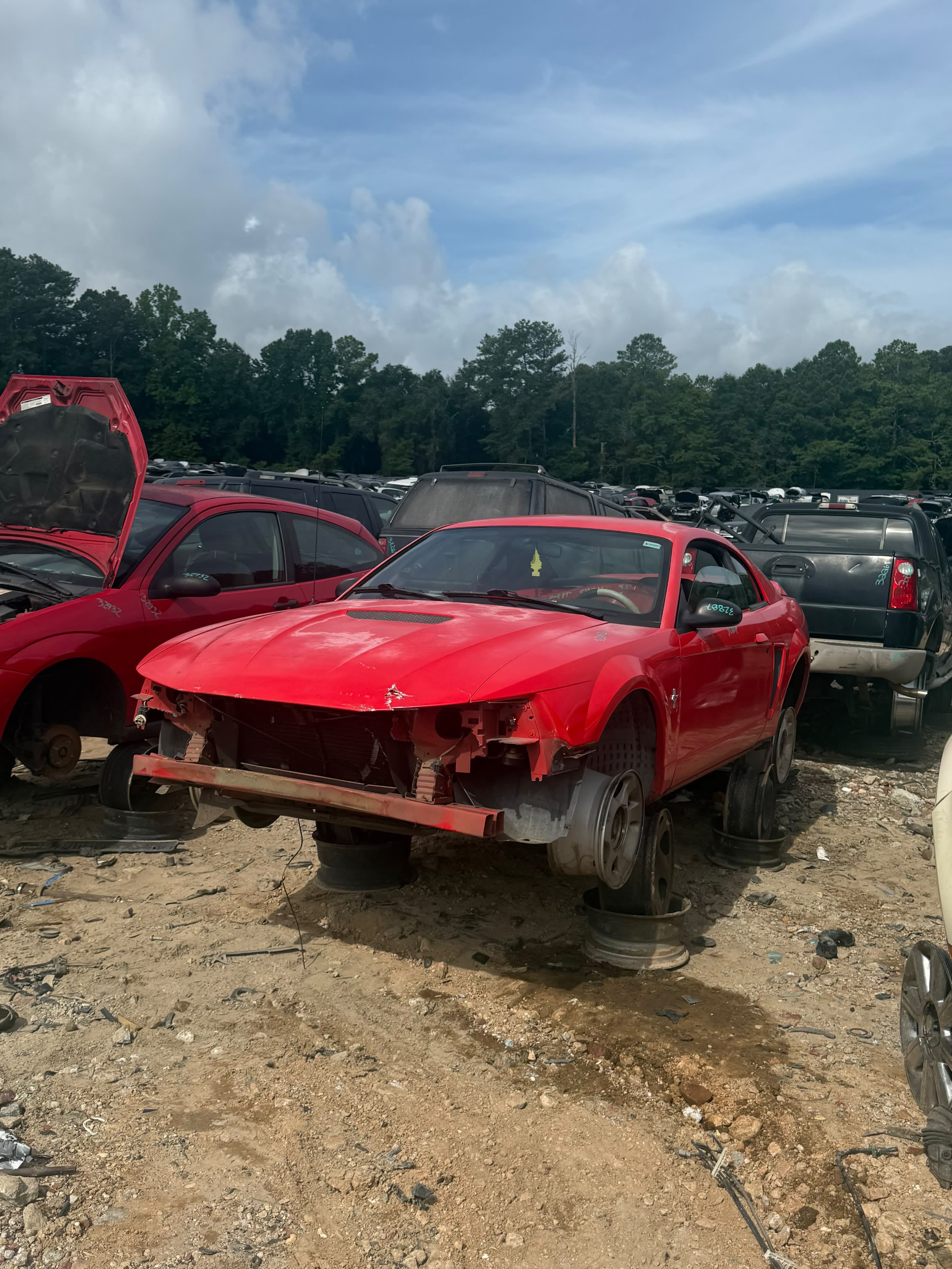 2000 FORD Mustang