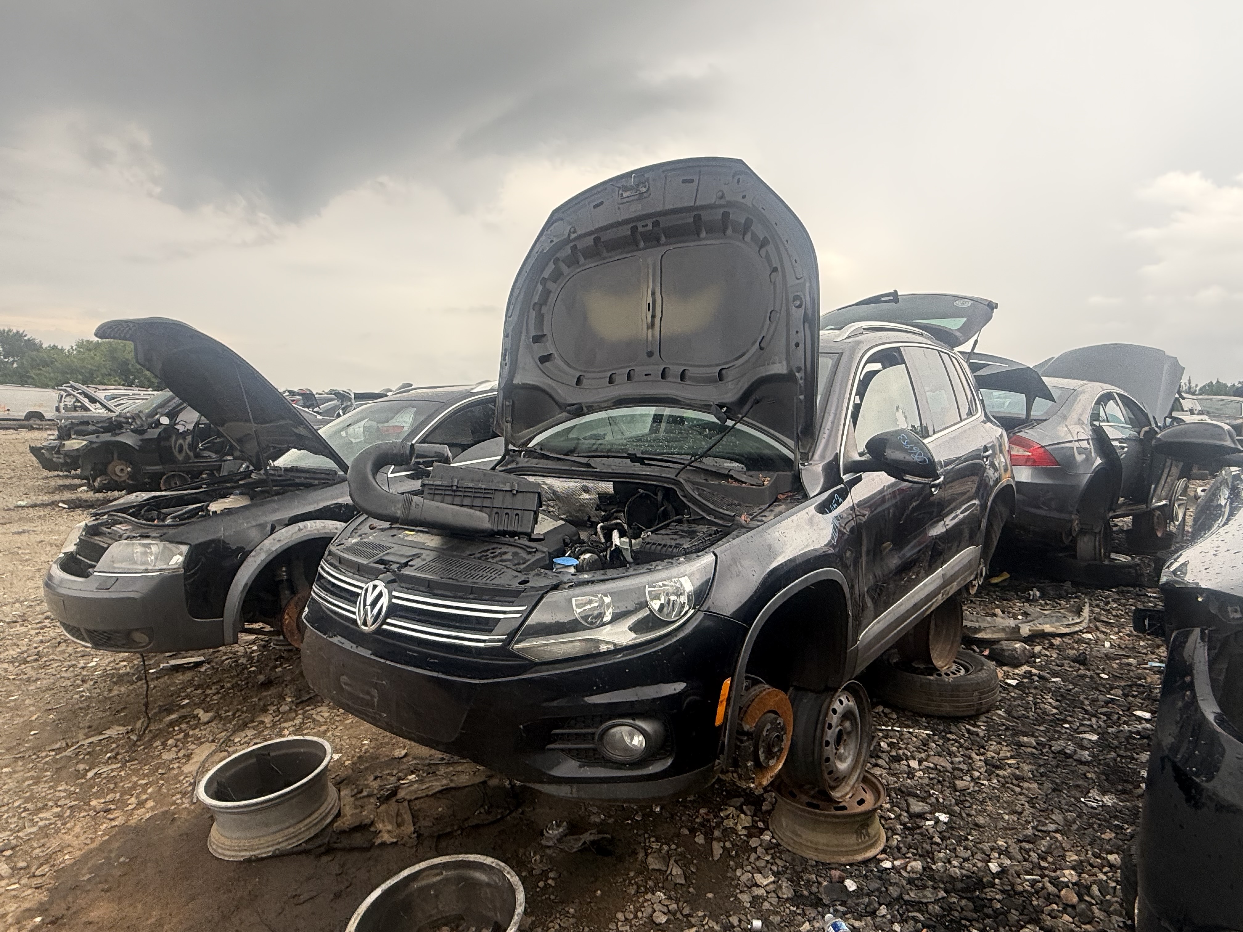 2013 VOLKSWAGEN Tiguan