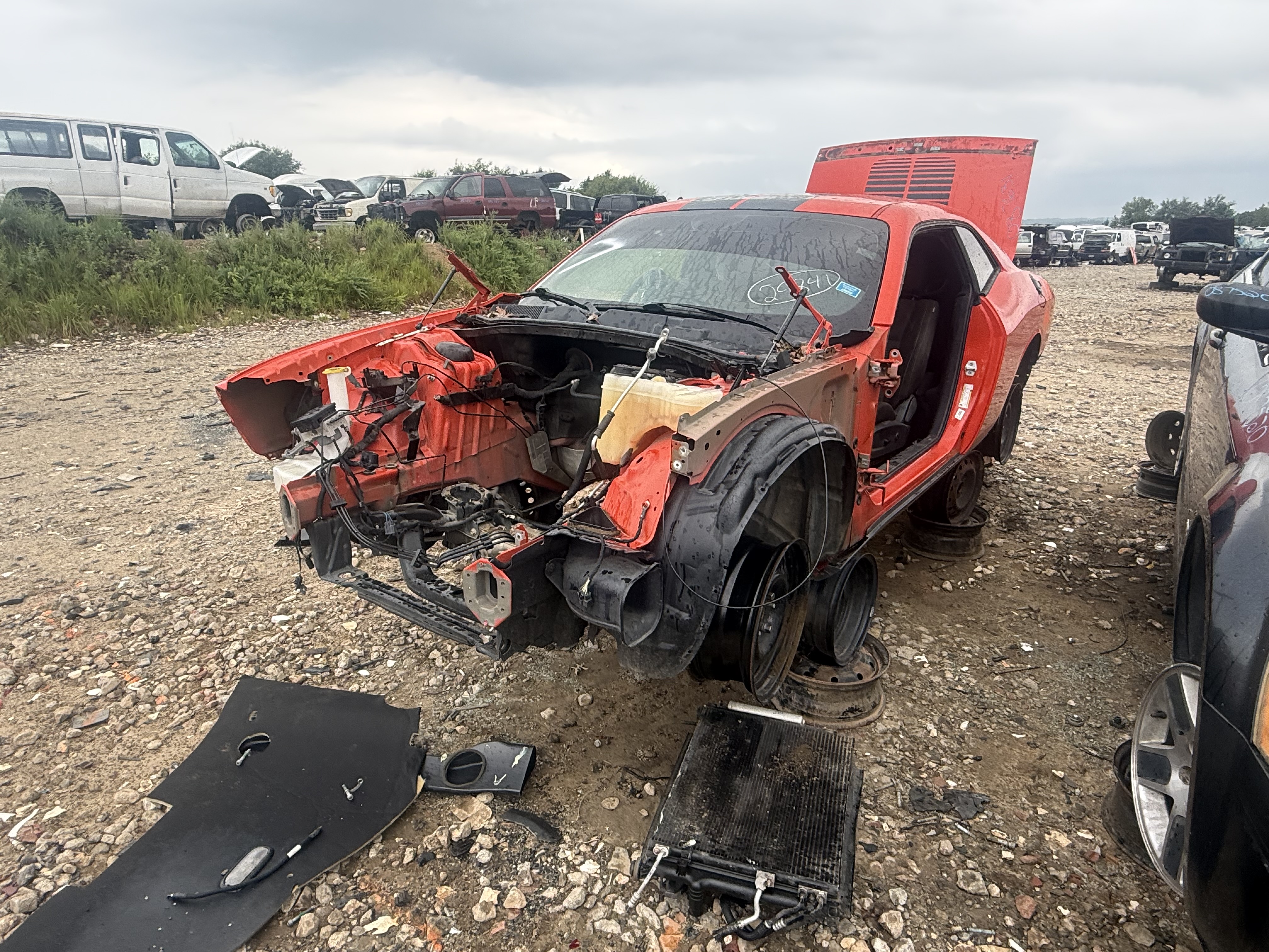 2019 DODGE Challenger