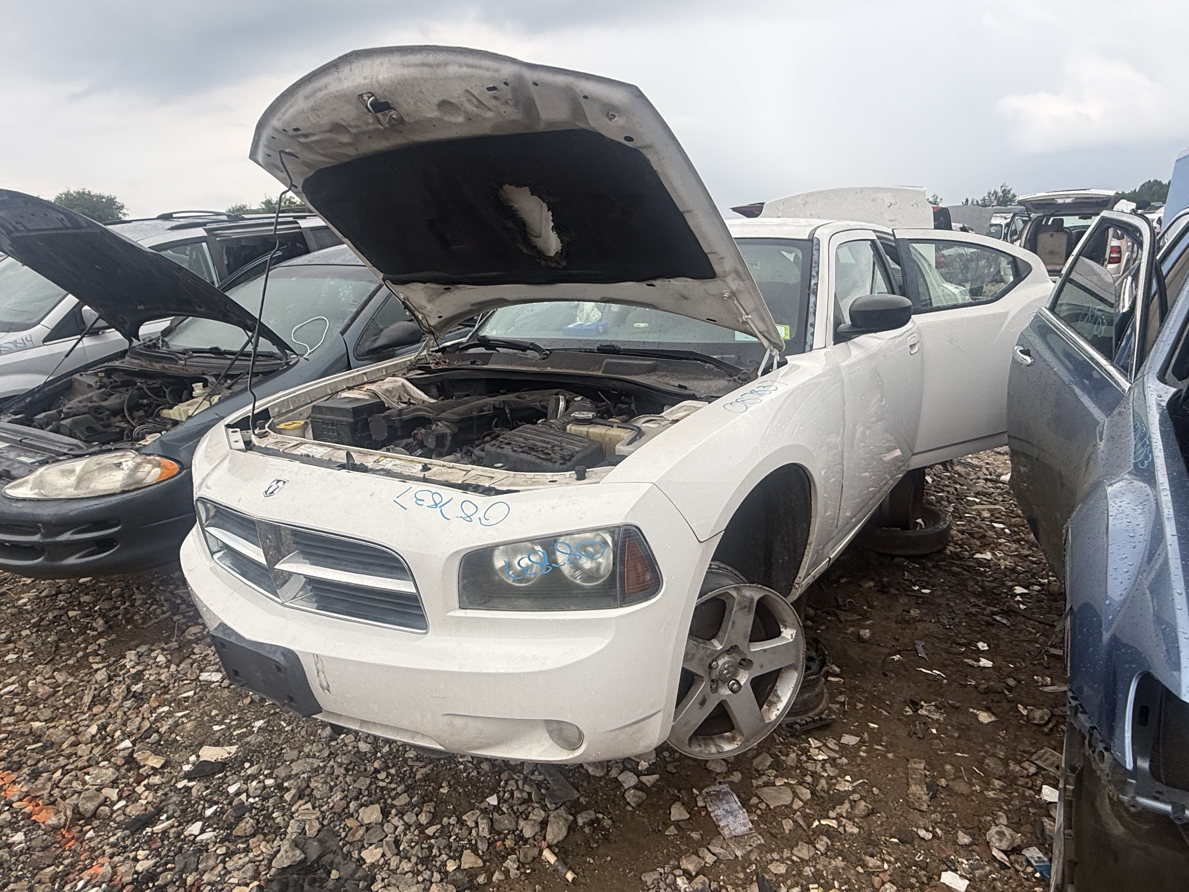2008 DODGE Charger