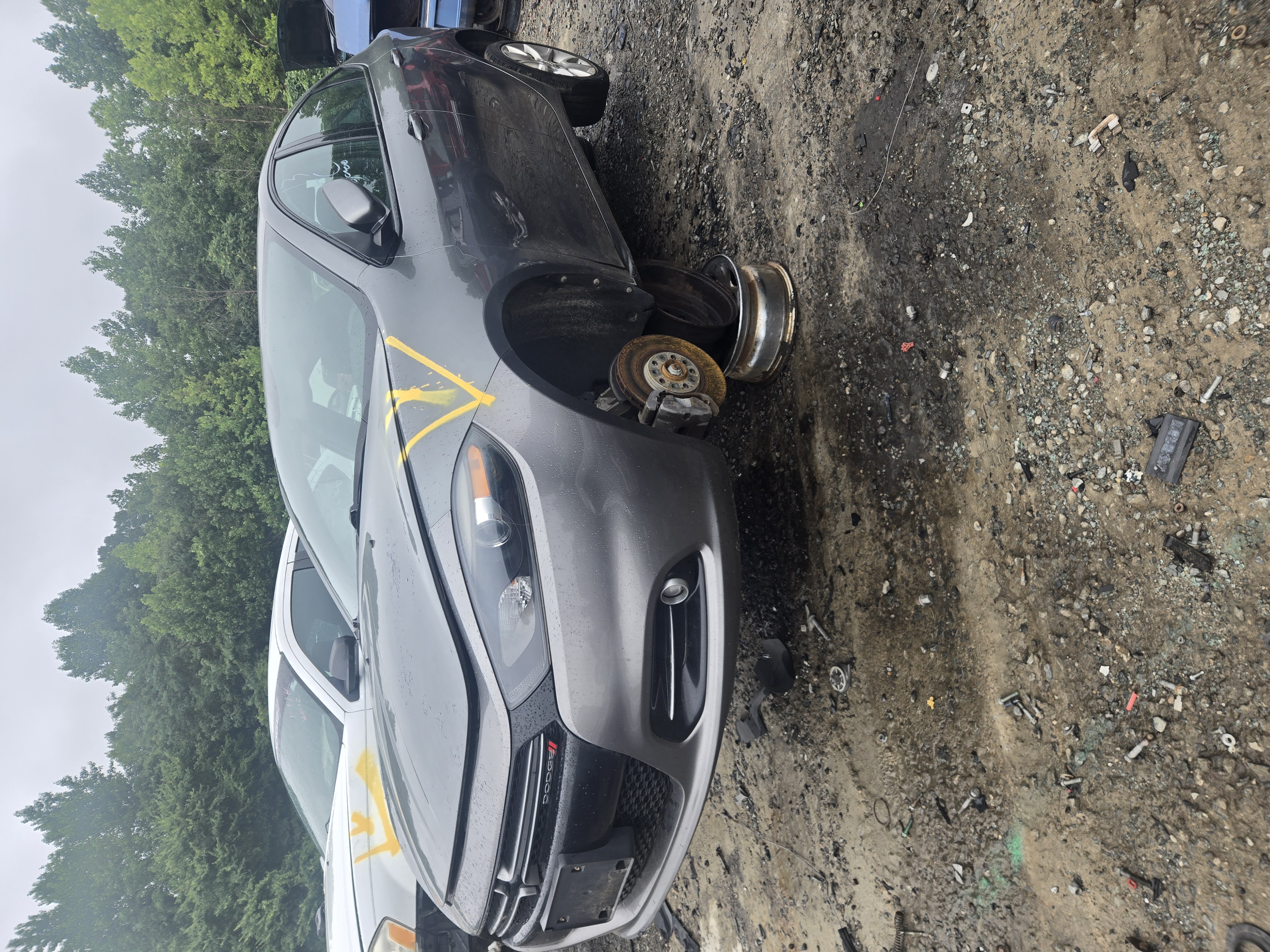 2013 DODGE Dart