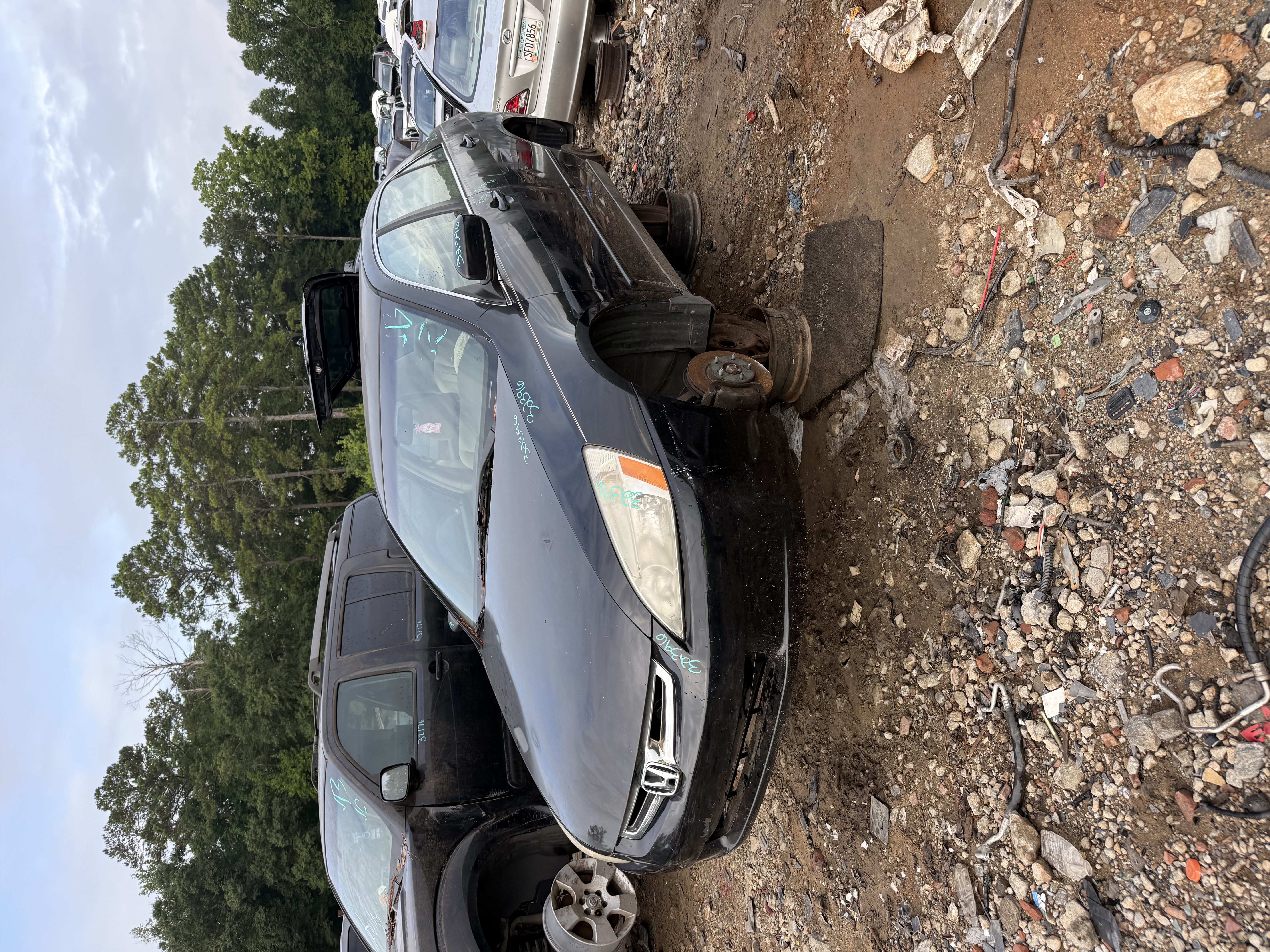 2004 HONDA Accord