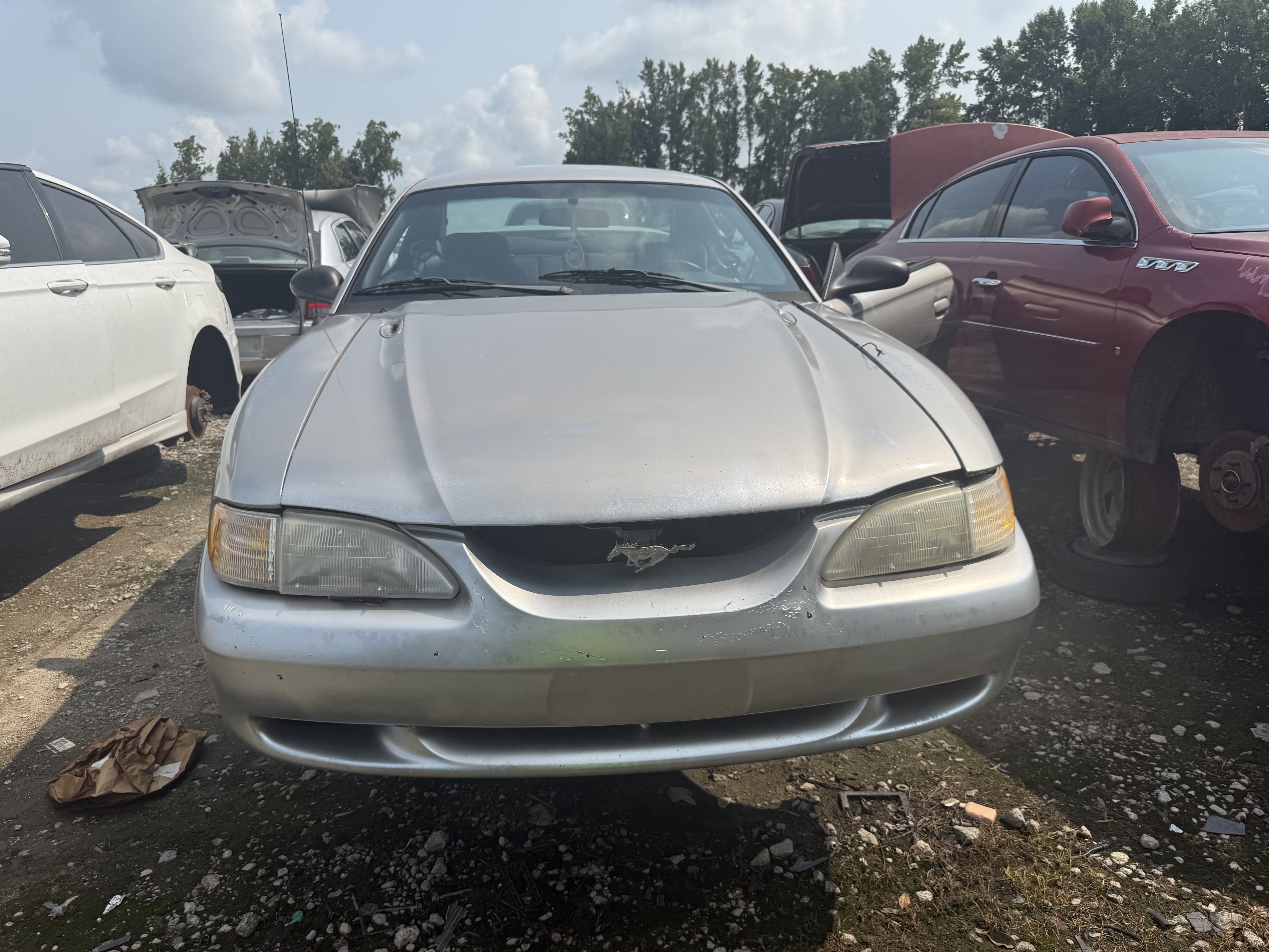 1998 FORD Mustang