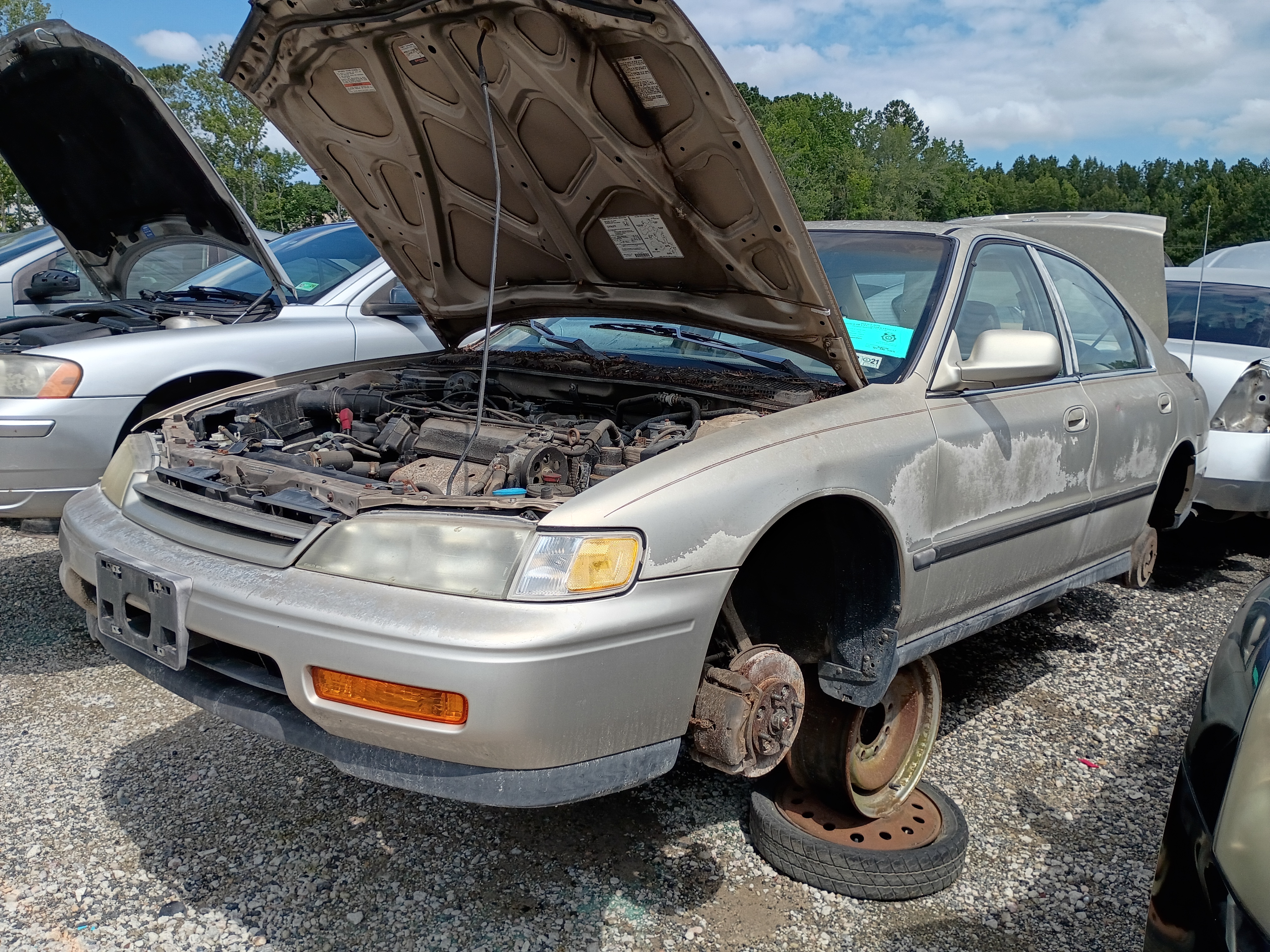 1995 HONDA Accord