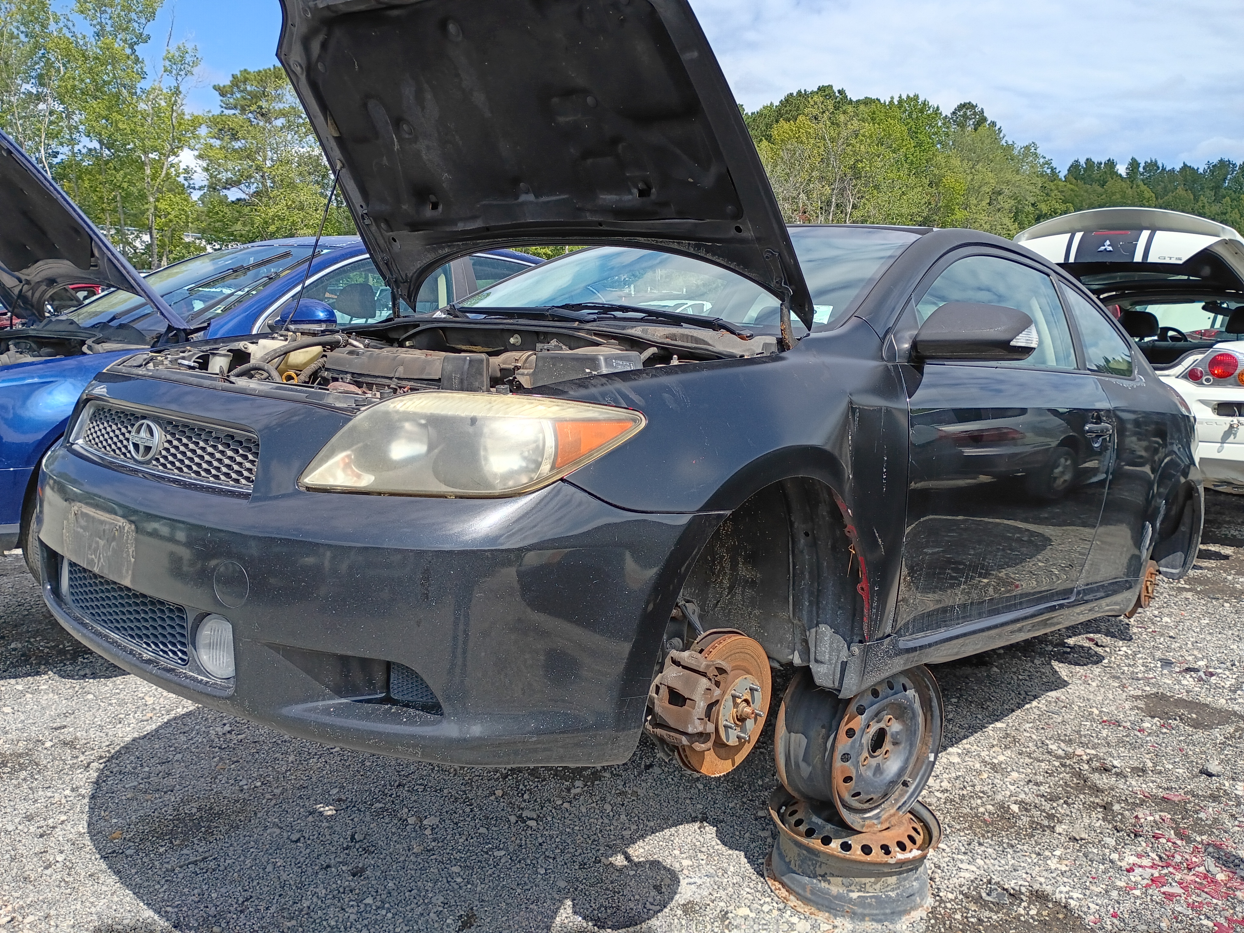 2006 TOYOTA Scion tC