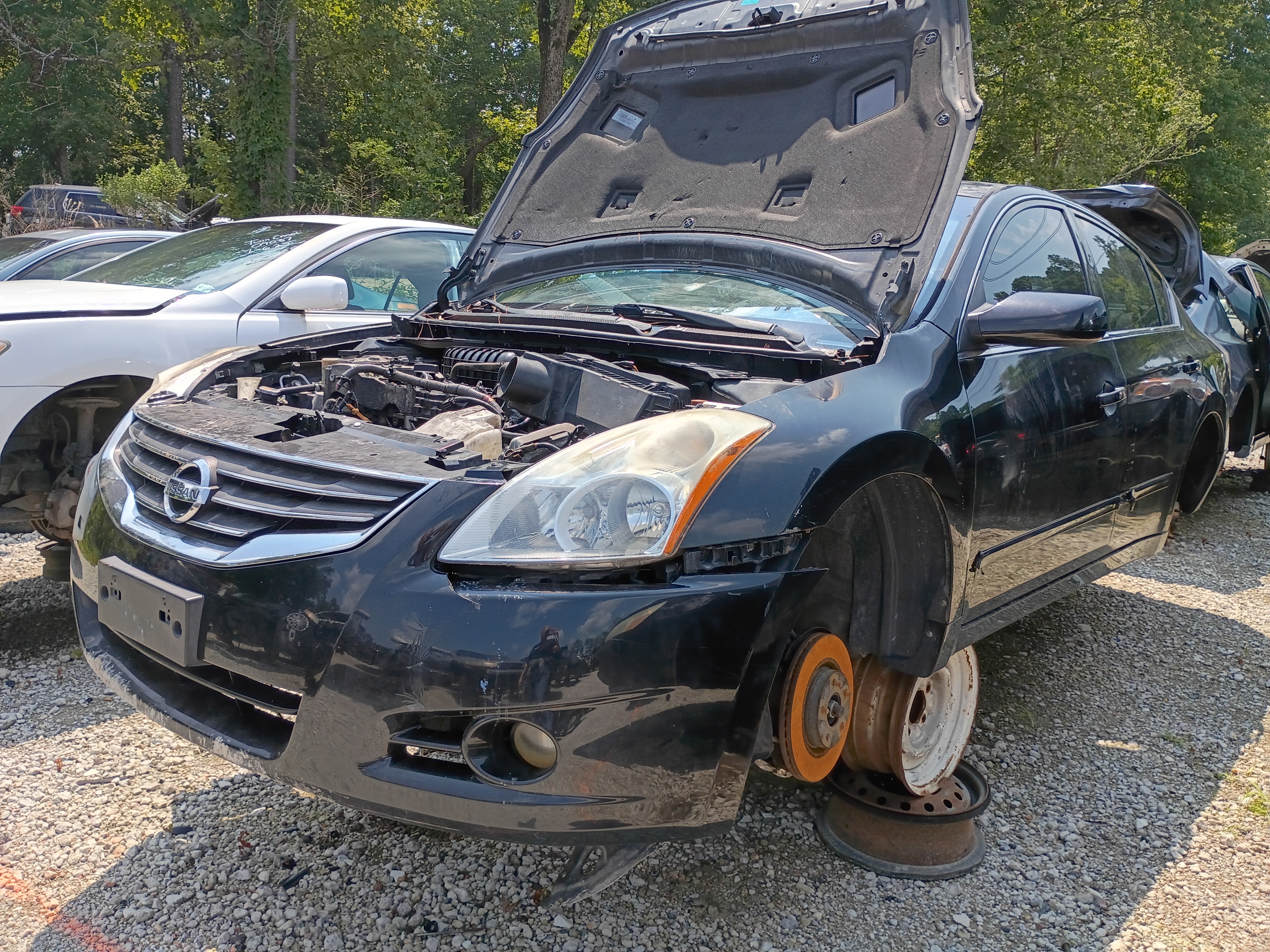 2010 NISSAN Altima