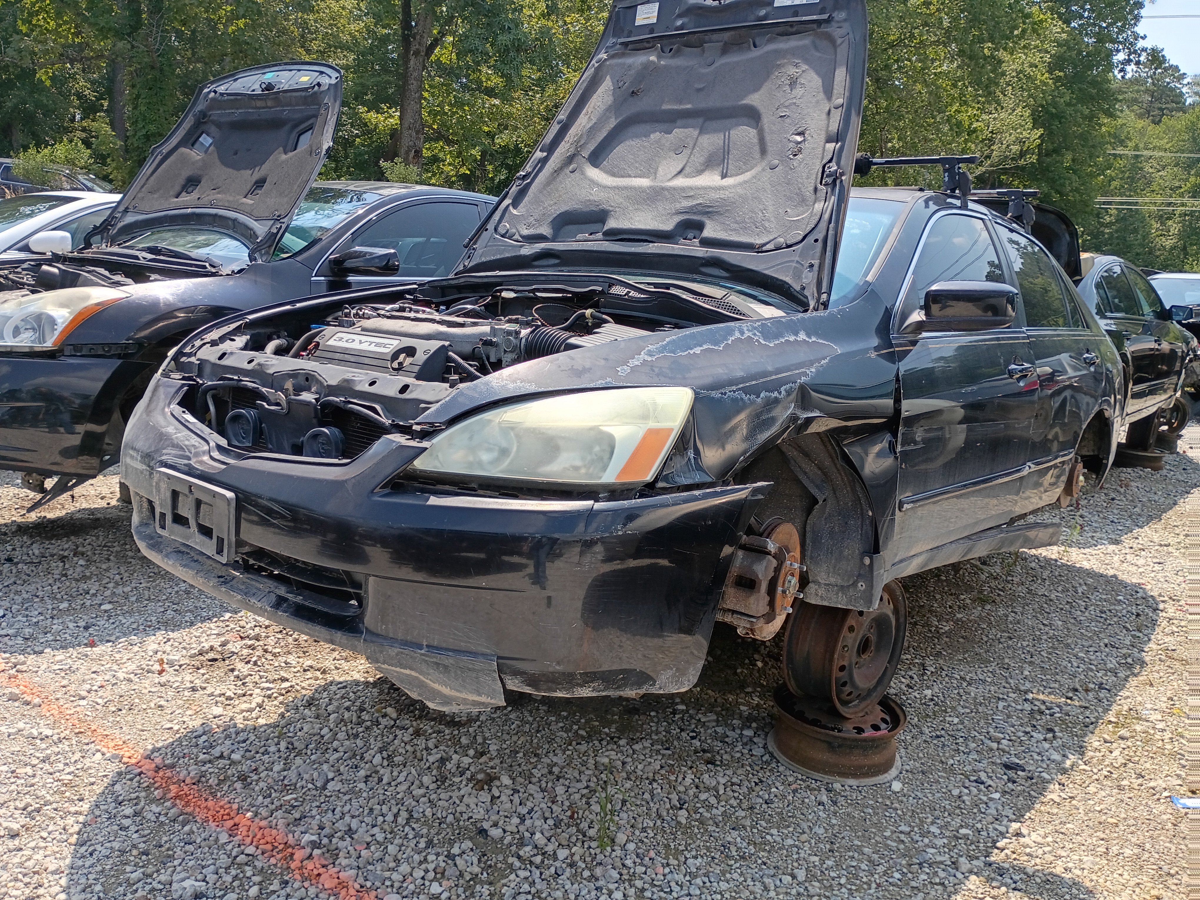 2004 HONDA Accord