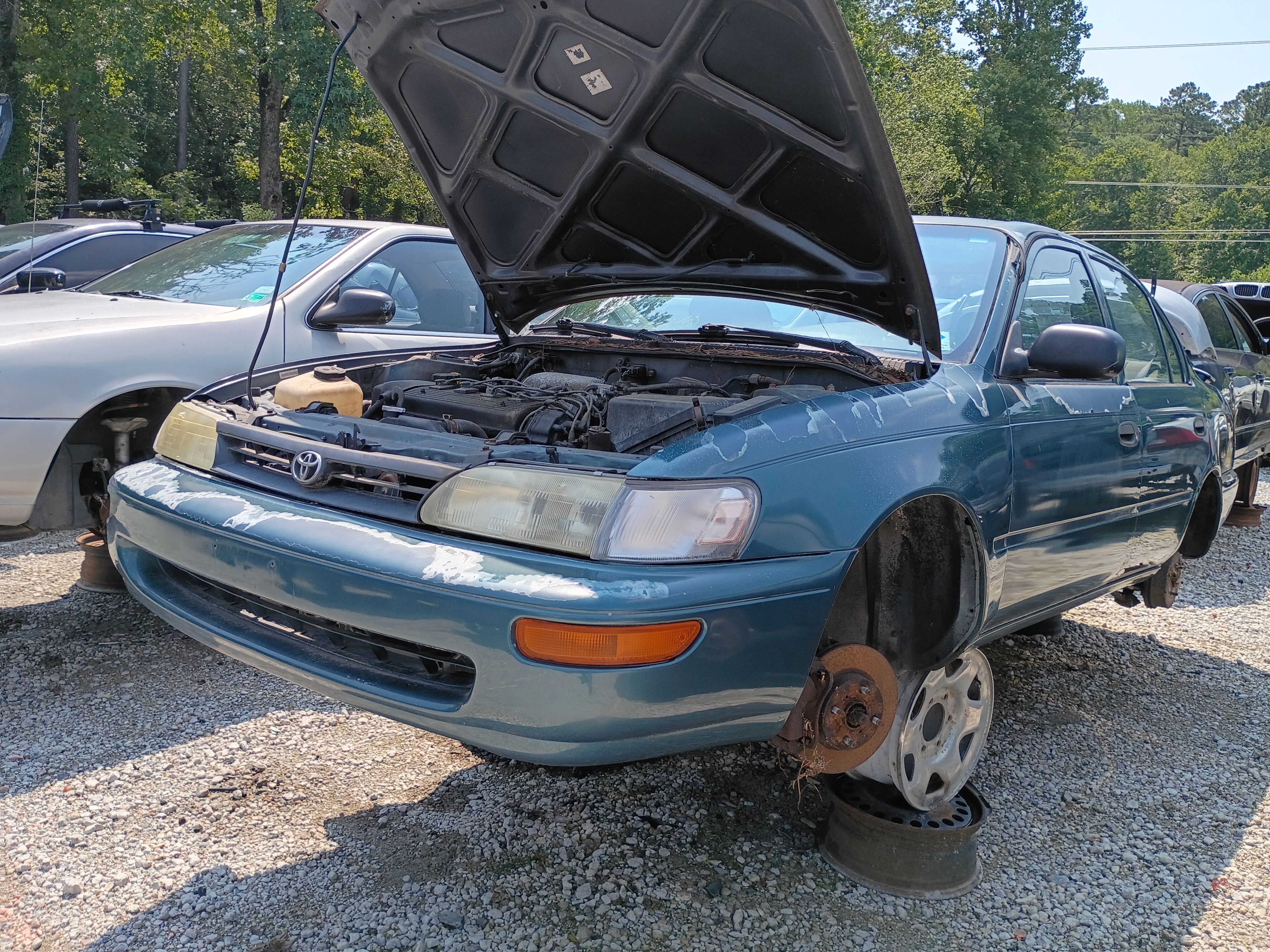 1995 TOYOTA Corolla