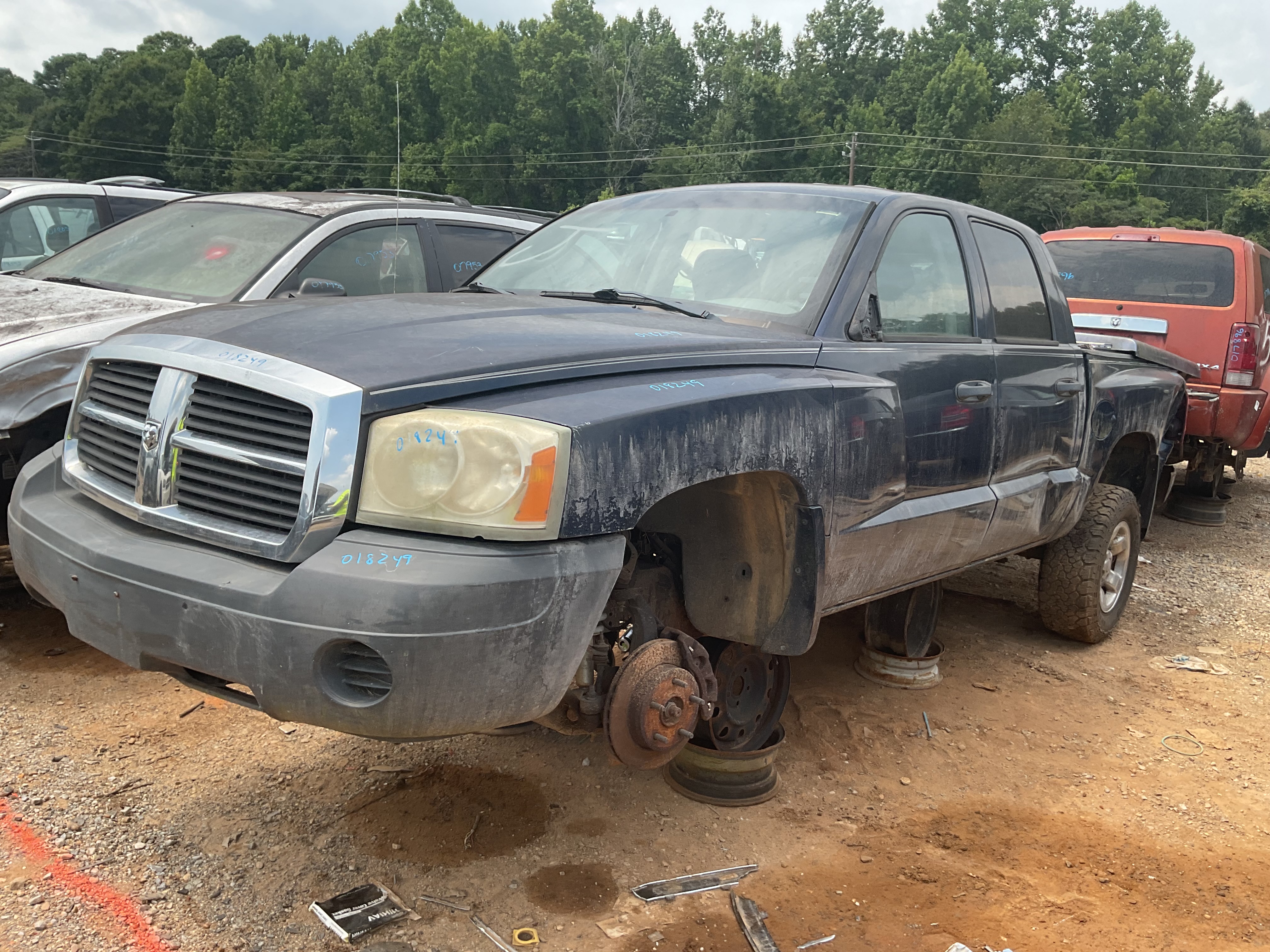 2005 DODGE Dakota